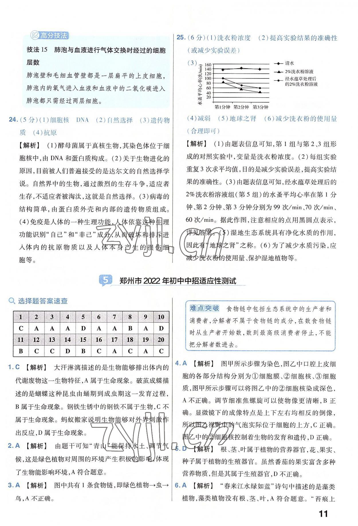 2023年金考卷45套汇编生物河南专版 参考答案第11页