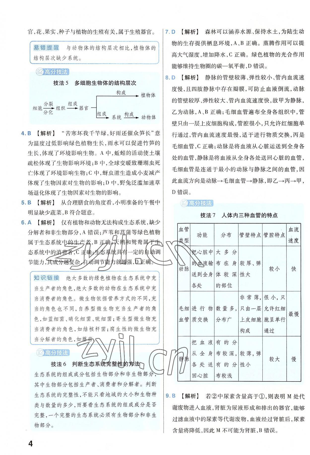 2023年金考卷45套匯編生物河南專版 參考答案第4頁