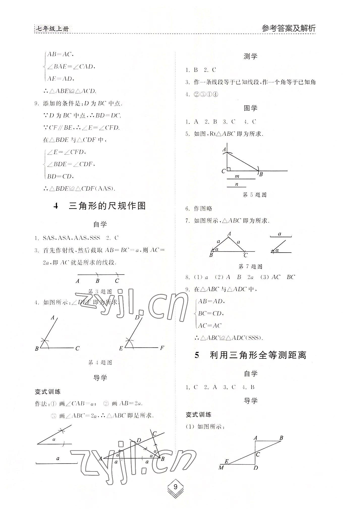 2022年综合能力训练七年级数学上册鲁教版54制 参考答案第8页