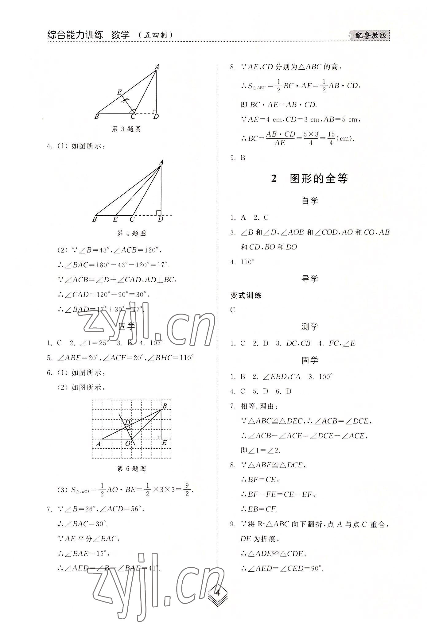 2022年综合能力训练七年级数学上册鲁教版54制 参考答案第3页