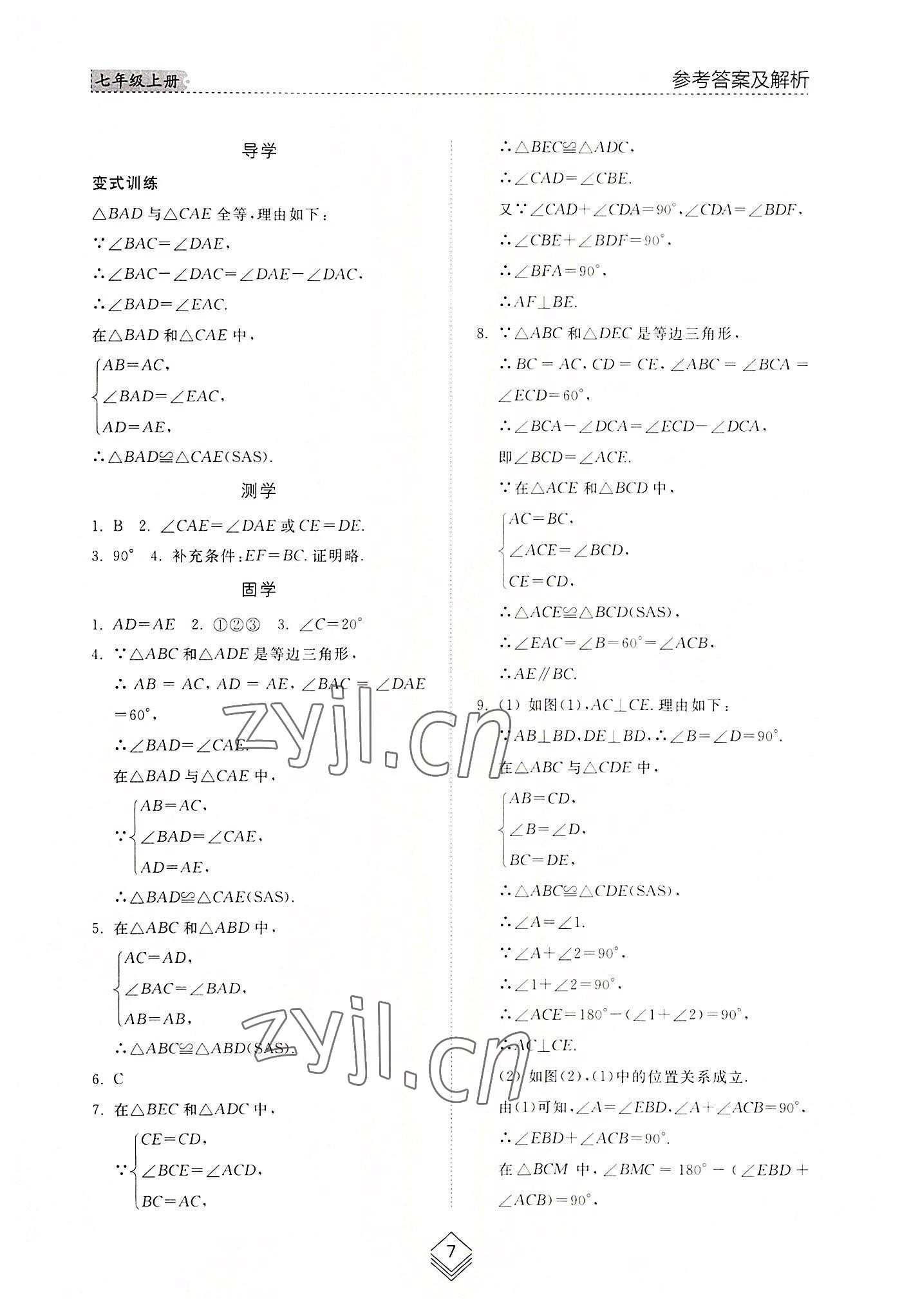 2022年综合能力训练七年级数学上册鲁教版54制 参考答案第6页