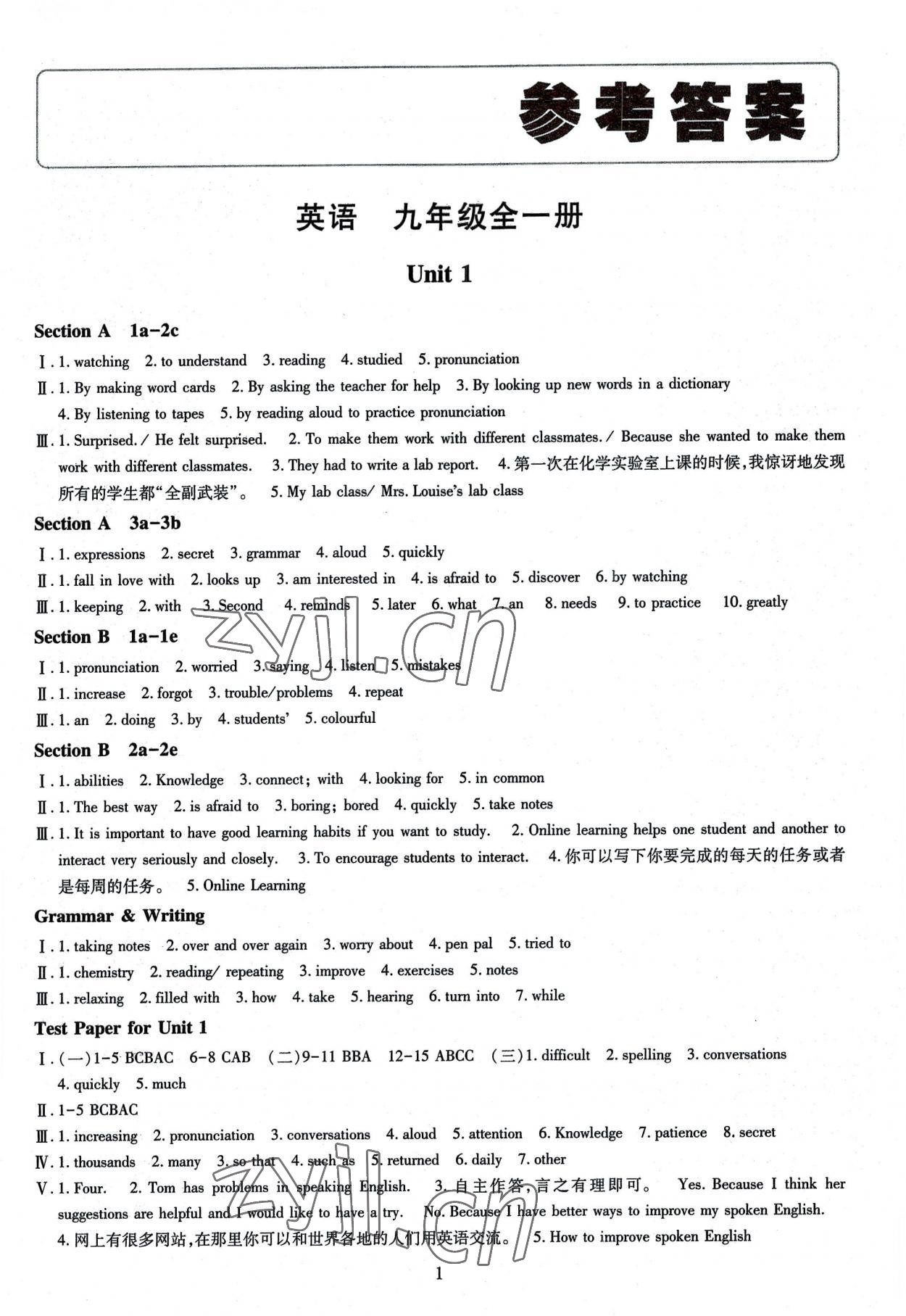 2022年智慧學(xué)習(xí)導(dǎo)學(xué)練九年級英語全一冊人教版 第1頁