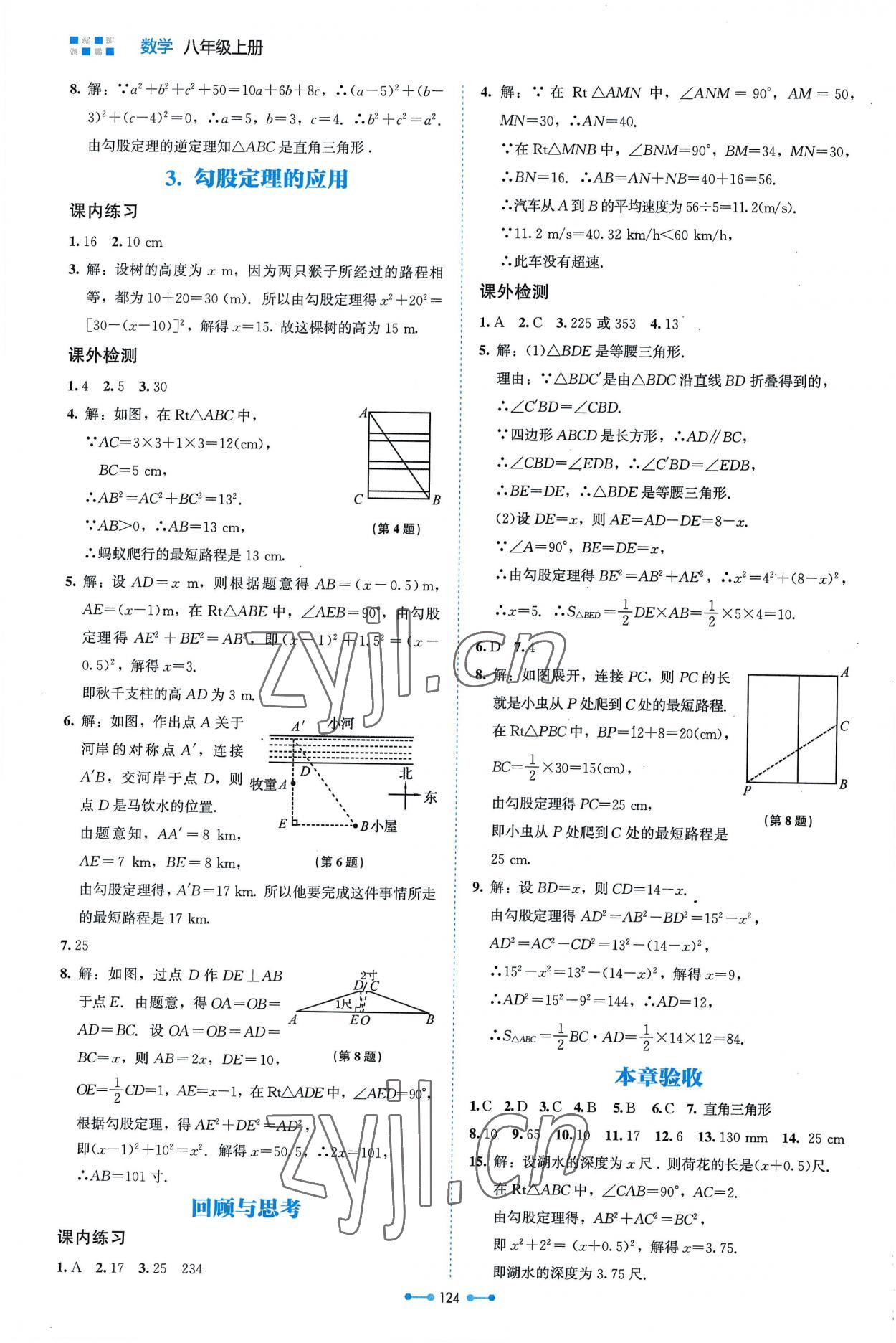 2022年伴你学北京师范大学出版社八年级数学上册北师大版 第2页