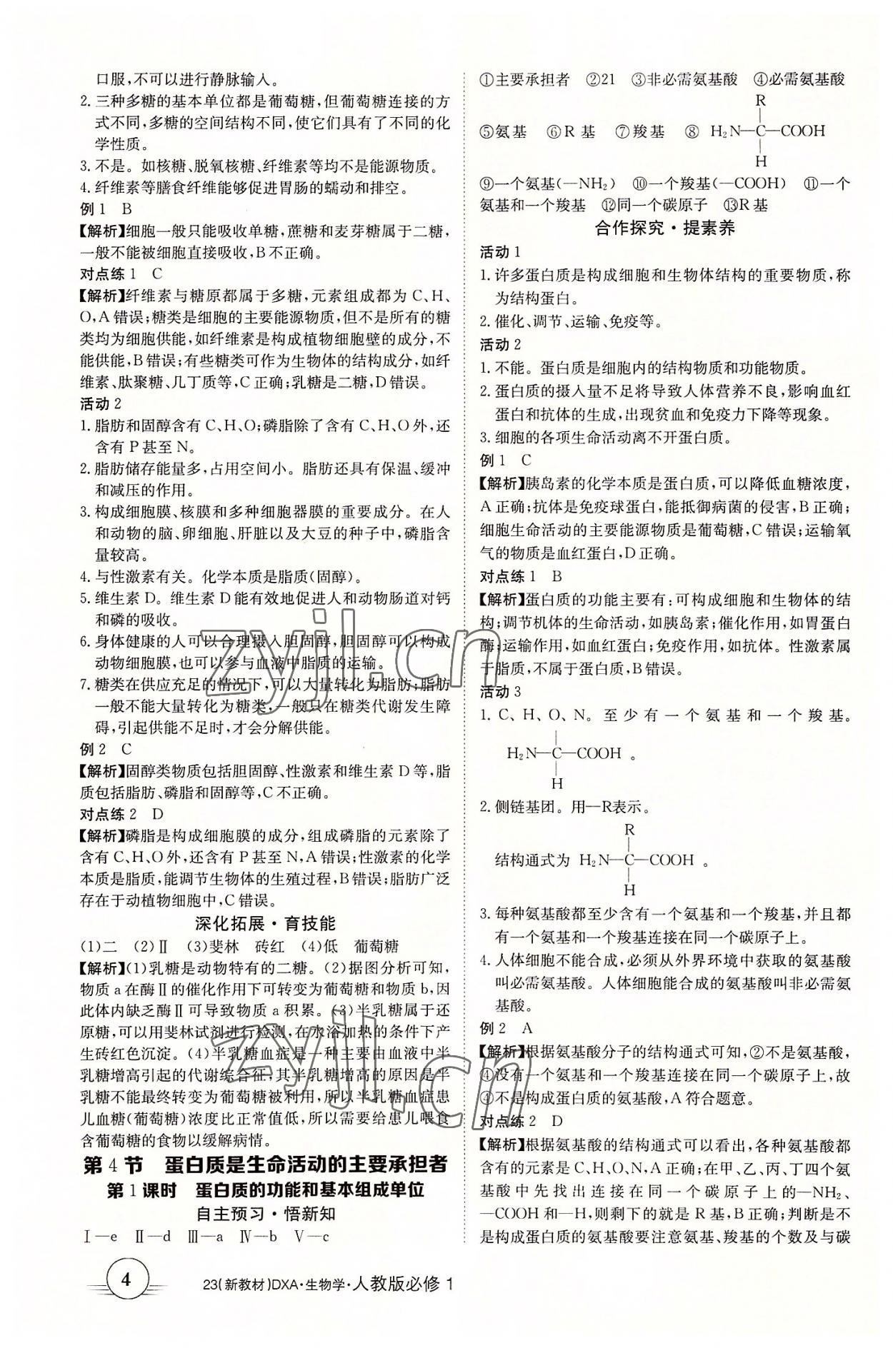 2022年金太陽導學案生物學必修1人教版 第4頁