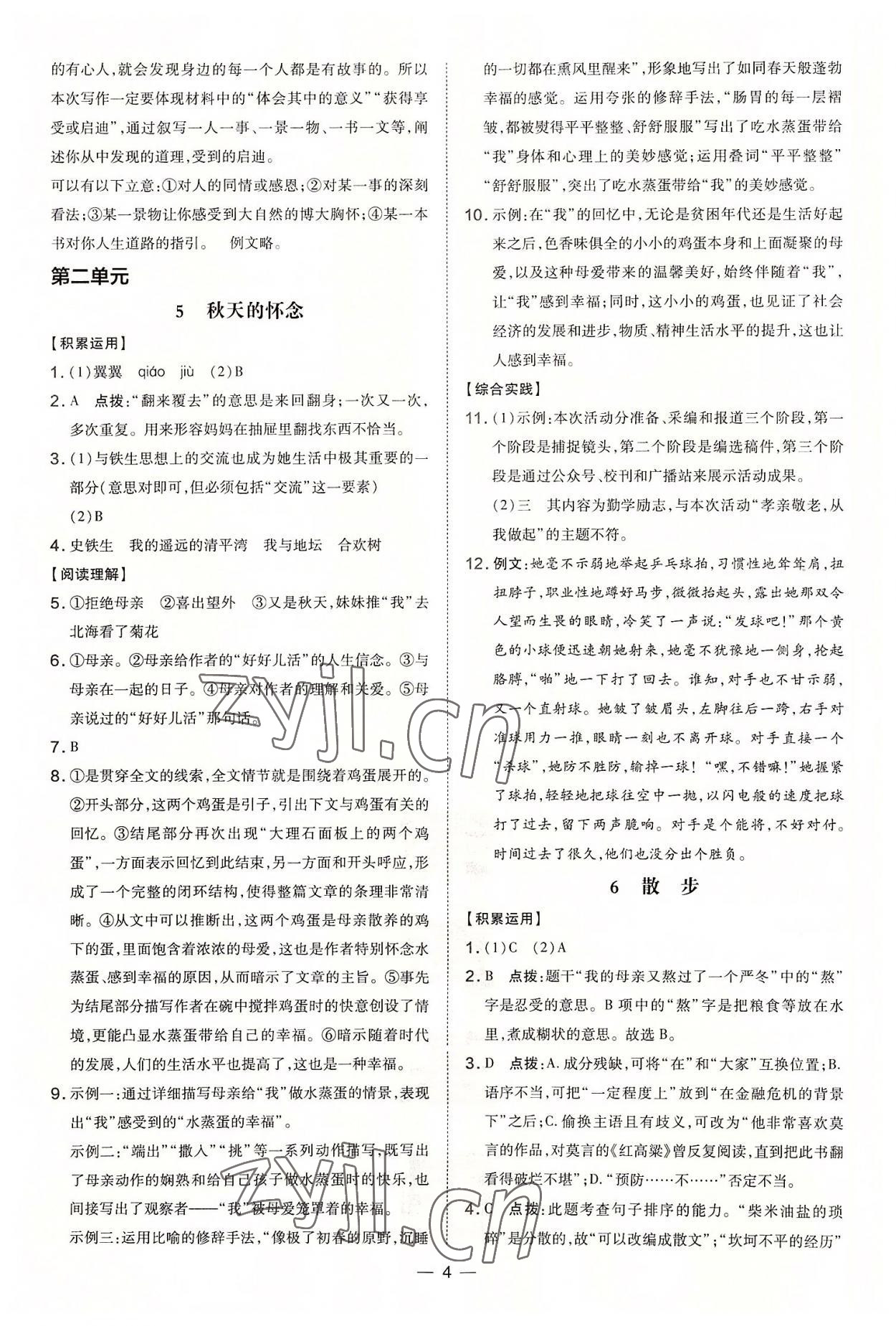 2022年點(diǎn)撥訓(xùn)練七年級(jí)語文上冊(cè)人教版河南專版 第4頁