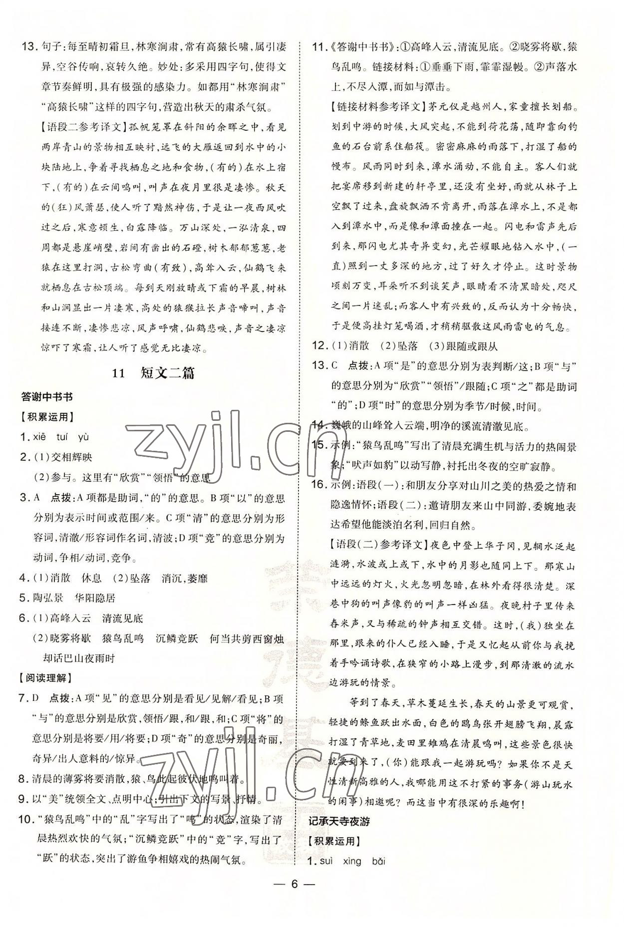 2022年點撥訓練八年級語文上冊人教版河南專版 第6頁