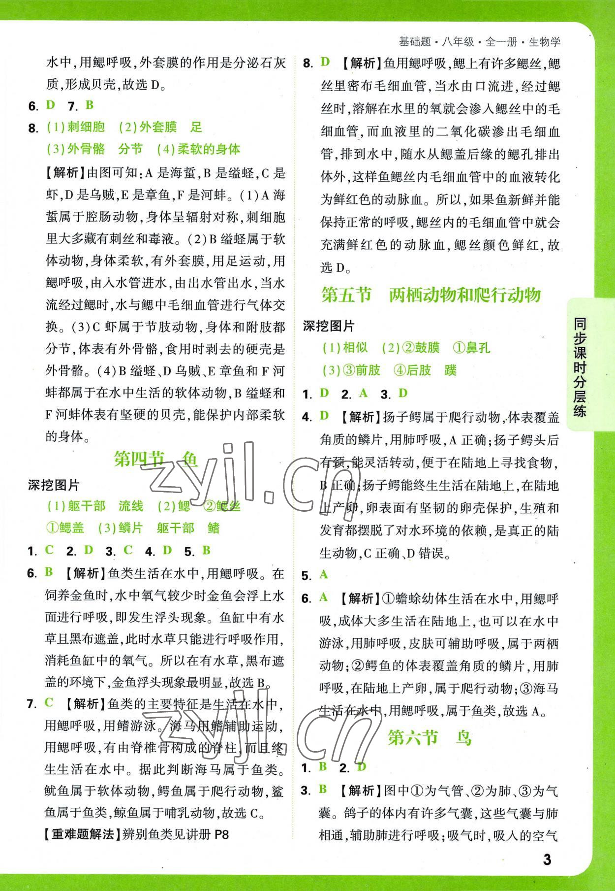 2022年萬唯中考基礎(chǔ)題八年級生物全一冊人教版 第3頁