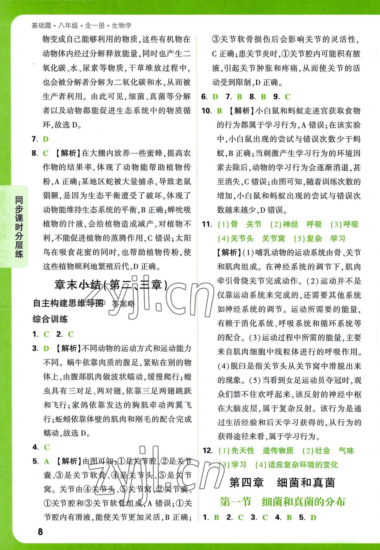 2022年萬唯中考基礎(chǔ)題八年級生物全一冊人教版 第8頁