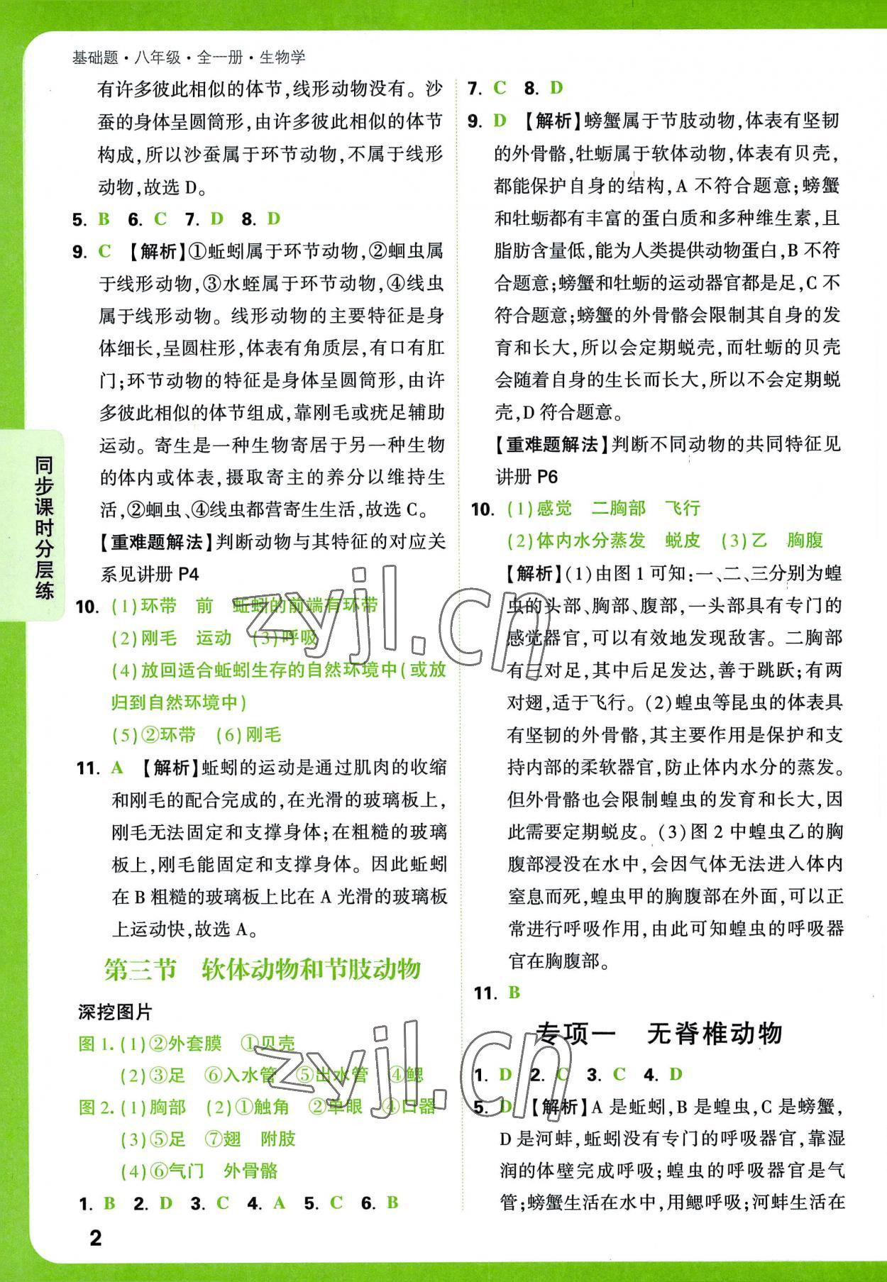 2022年萬唯中考基礎(chǔ)題八年級生物全一冊人教版 第2頁