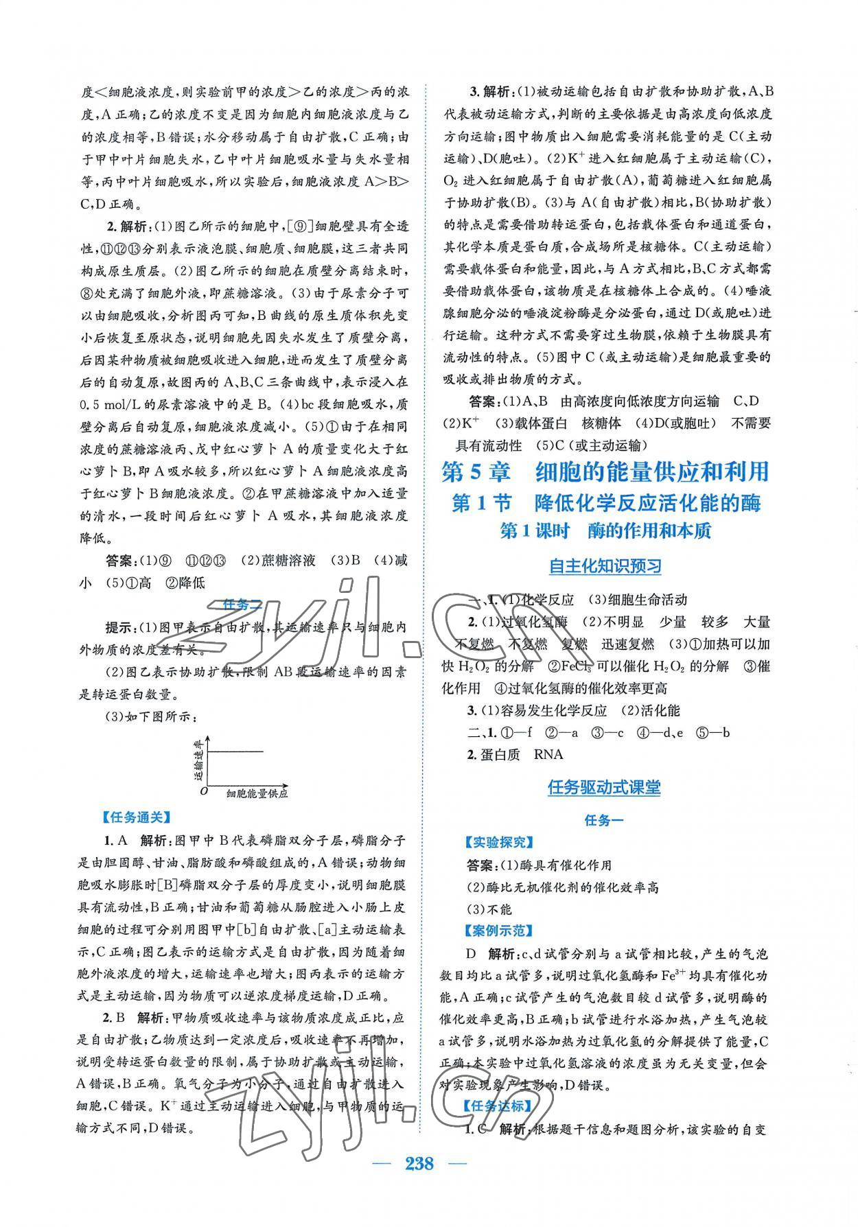 2022年新编高中同步作业生物学必修1分子与细胞人教版 参考答案第16页