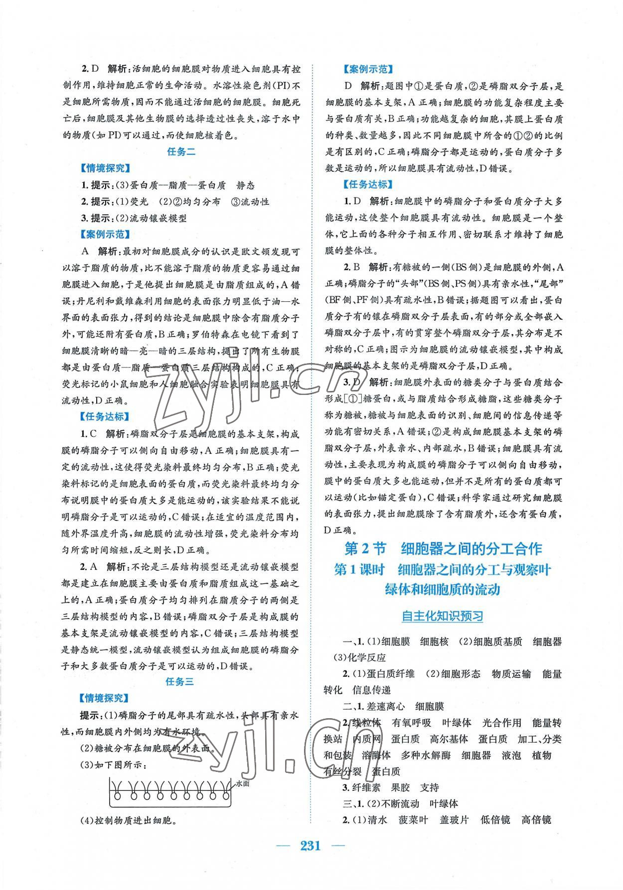 2022年新编高中同步作业生物学必修1分子与细胞人教版 参考答案第9页