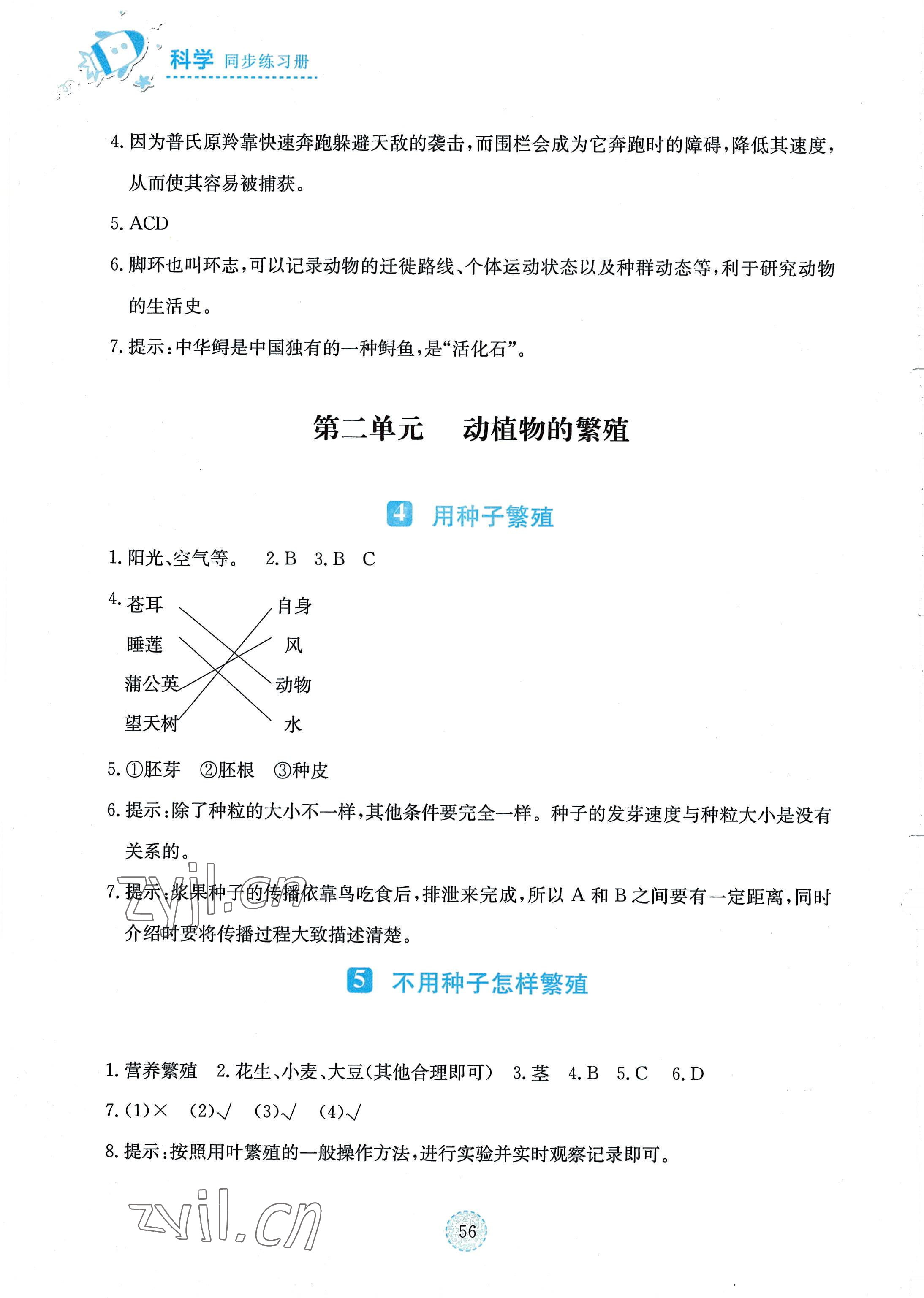 2022年科學同步練習冊湖北教育出版社四年級上冊鄂教版 第2頁