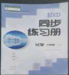 2022年同步練習(xí)冊(cè)大象出版社九年級(jí)化學(xué)上冊(cè)人教版