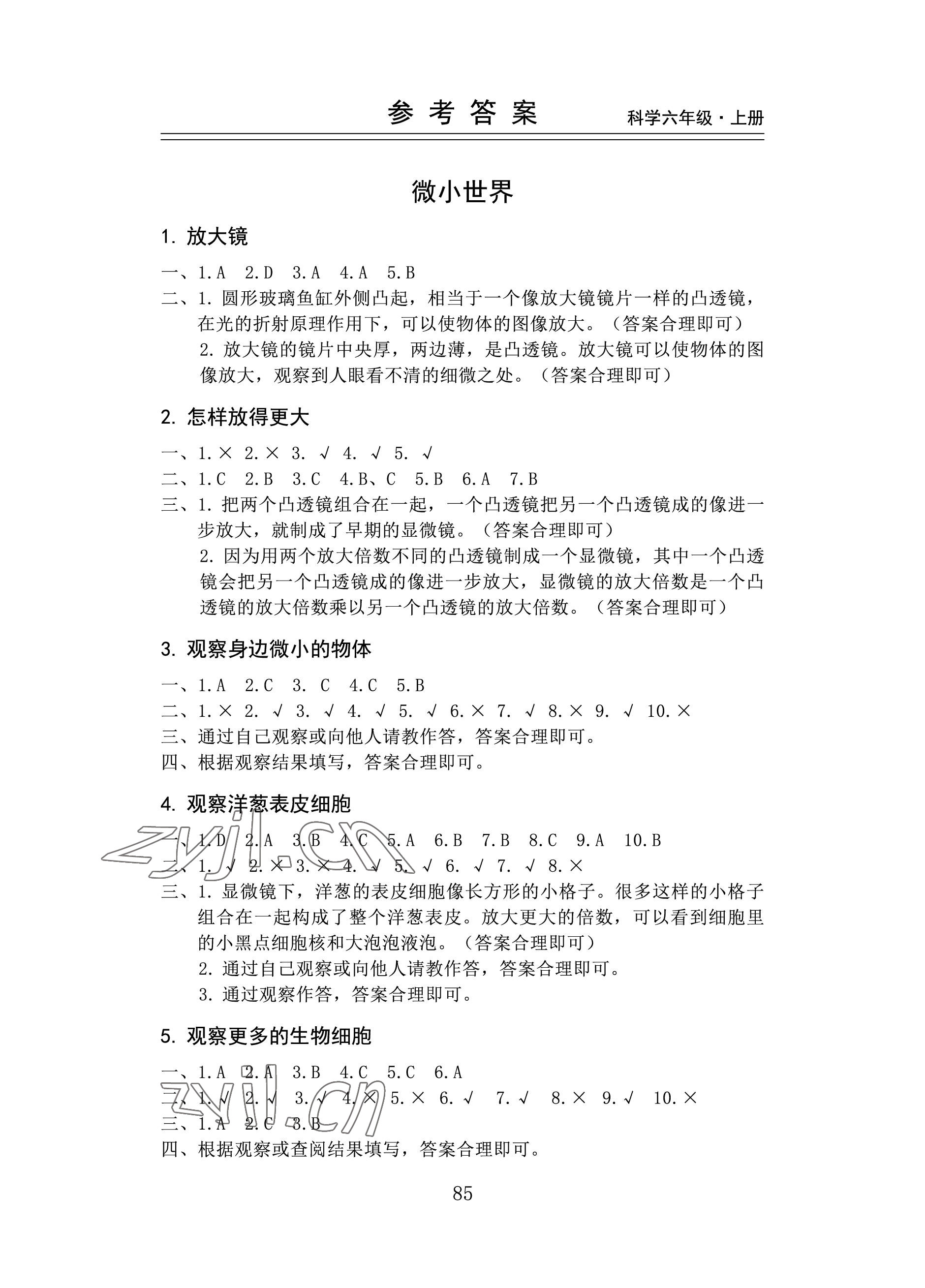 2022年新思維伴你學(xué)六年級(jí)科學(xué)上冊(cè)教科版 參考答案第1頁(yè)