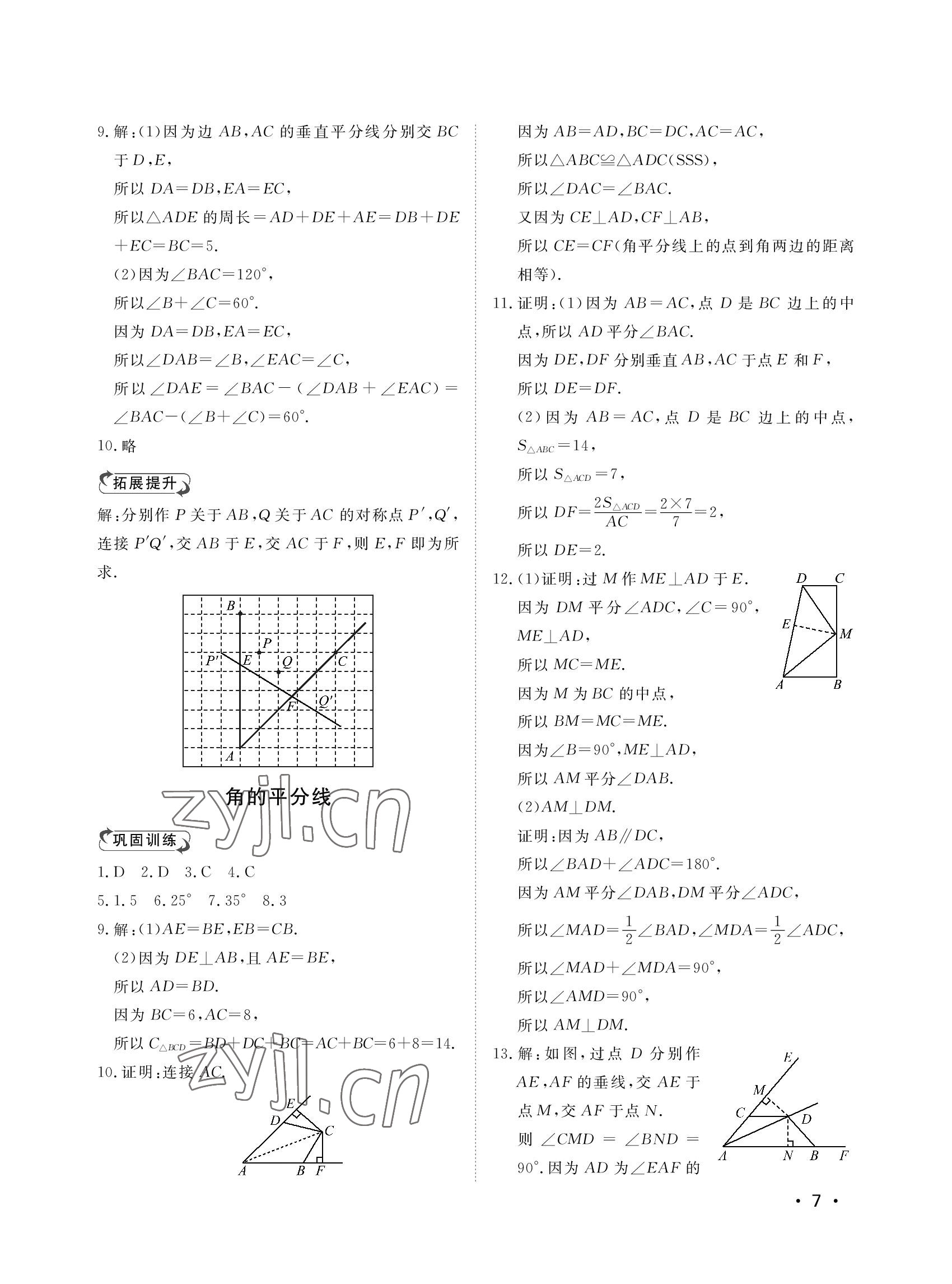 2022年行知天下八年級數(shù)學(xué)上冊青島版 參考答案第7頁