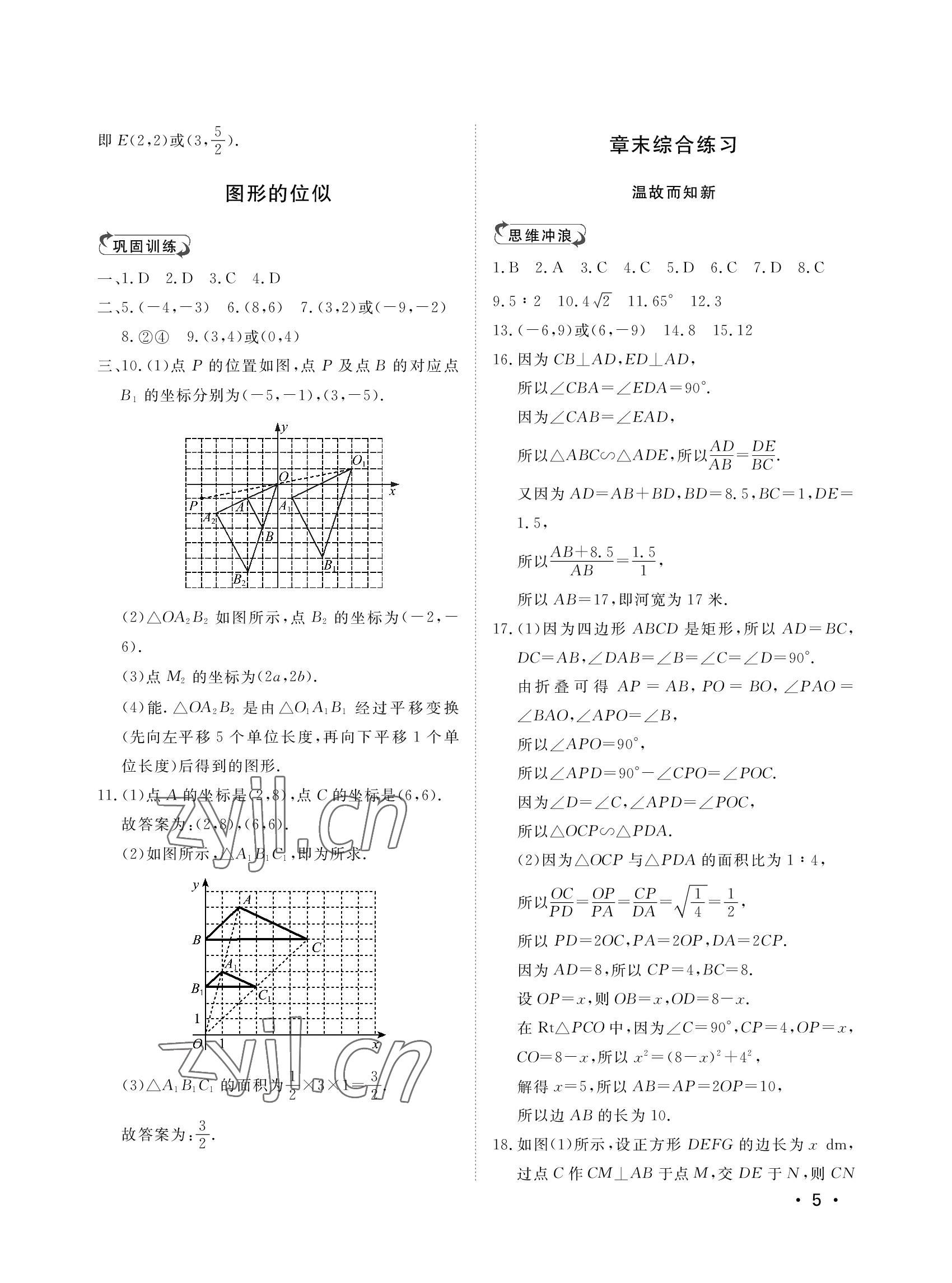 2022年行知天下九年級數(shù)學(xué)上冊青島版 參考答案第5頁