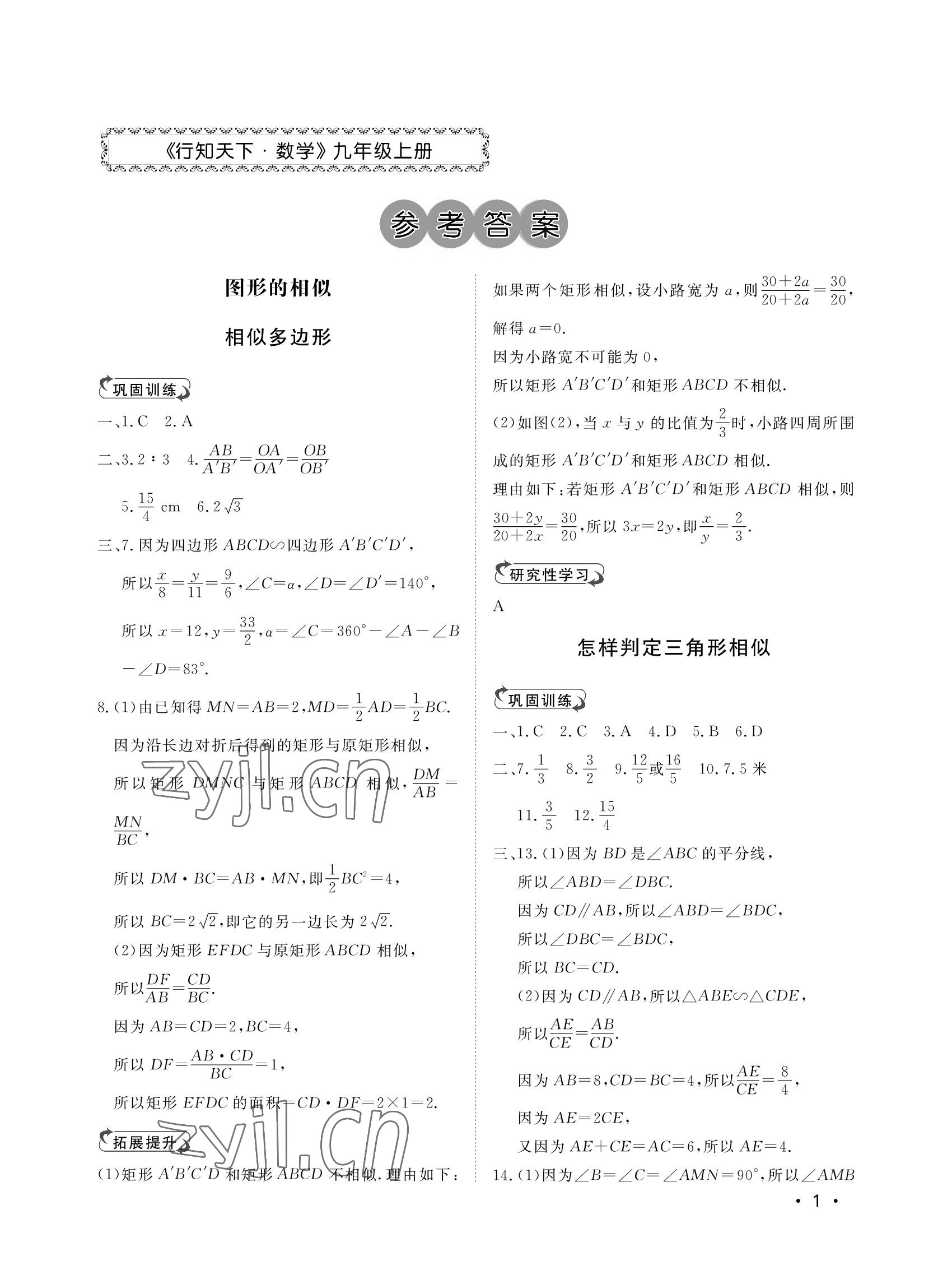 2022年行知天下九年级数学上册青岛版 参考答案第1页