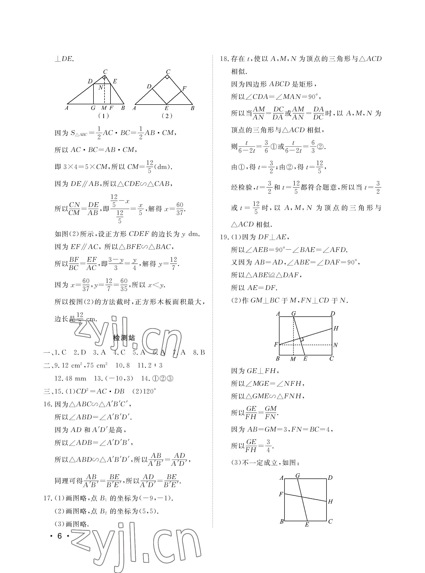 2022年行知天下九年級數(shù)學上冊青島版 參考答案第6頁