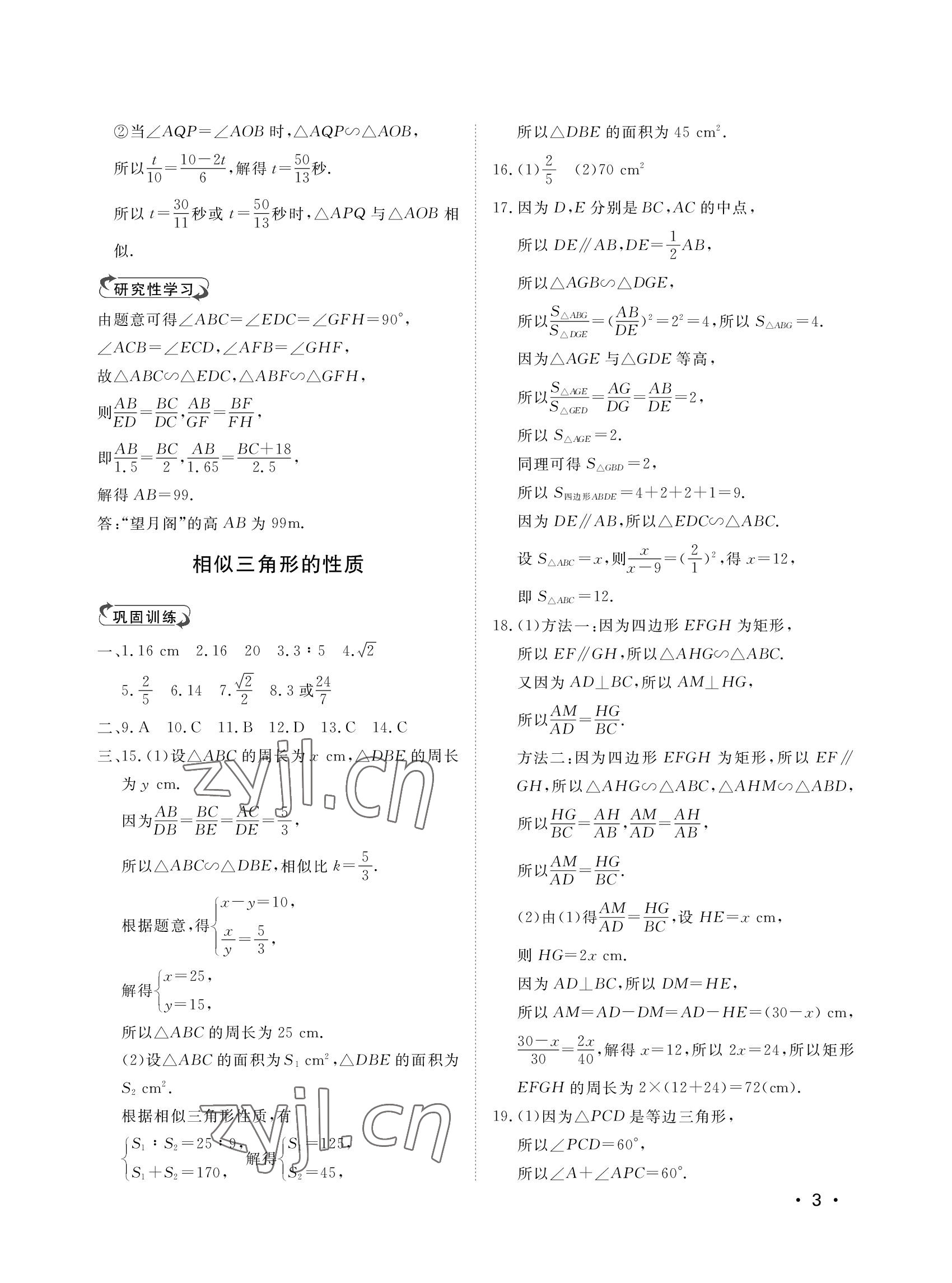 2022年行知天下九年級數(shù)學(xué)上冊青島版 參考答案第3頁