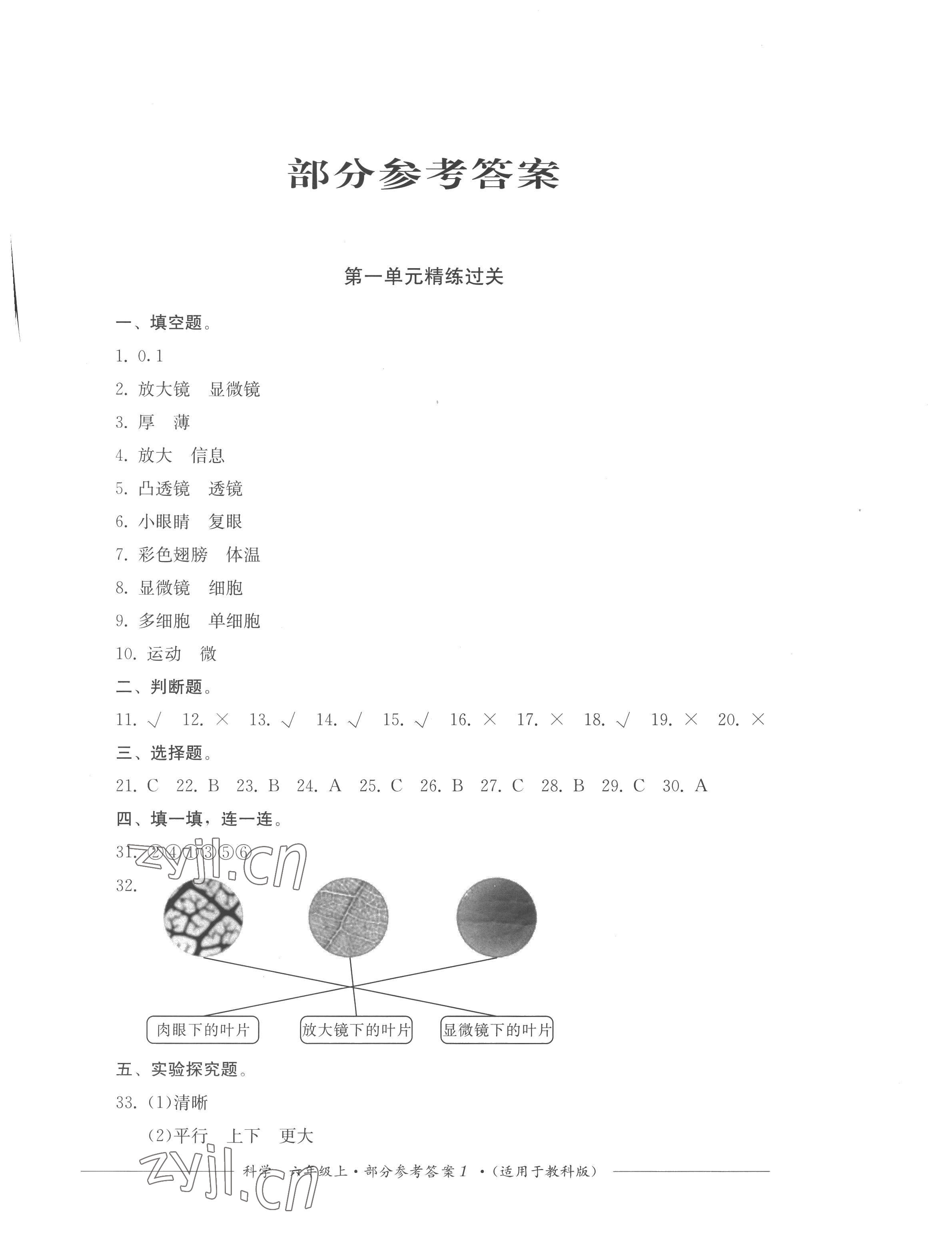 2022年精練過關(guān)四川教育出版社六年級科學(xué)上冊教科版 第1頁