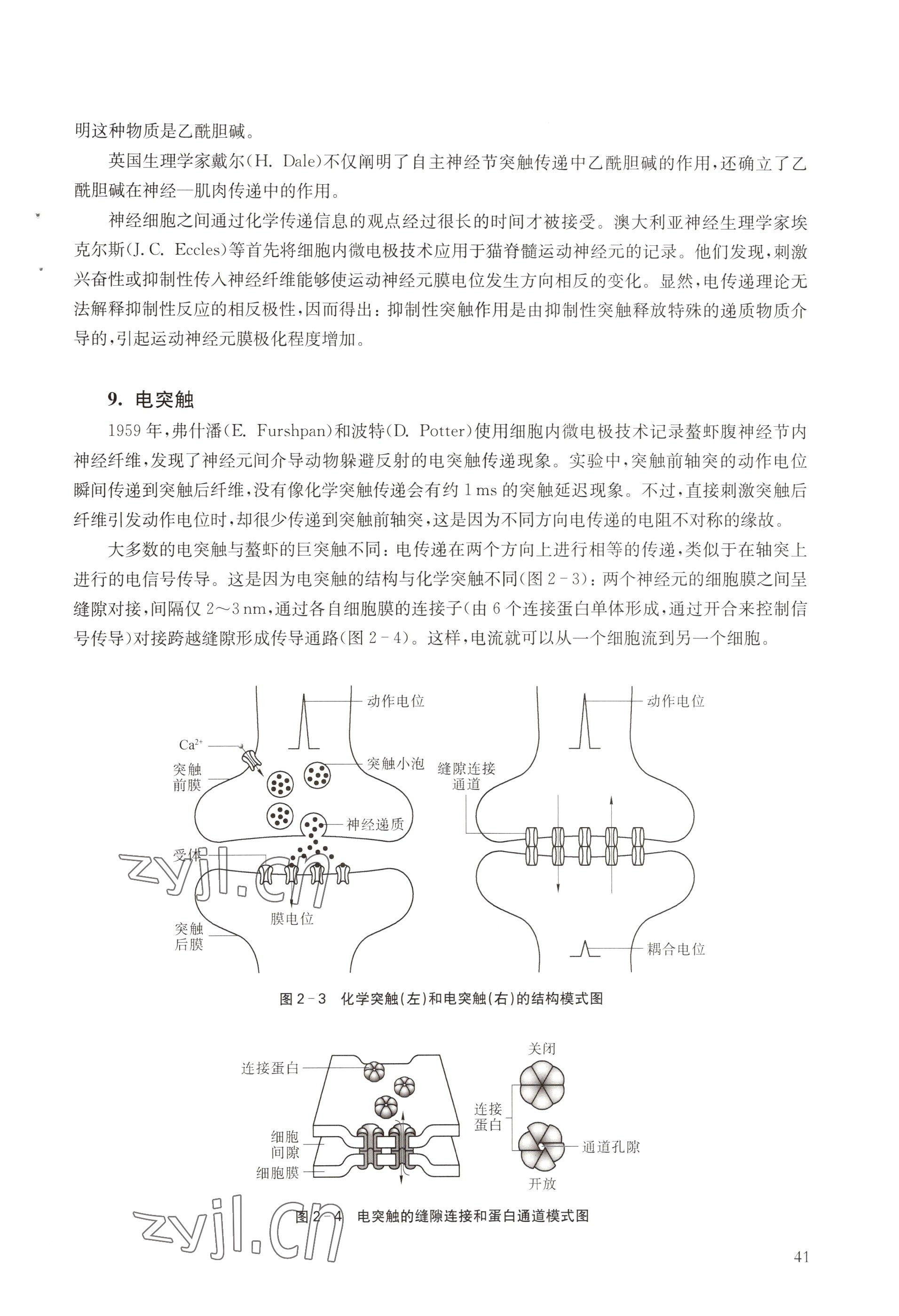 2022年教材課本高中生物選擇性必修1滬教版 參考答案第41頁