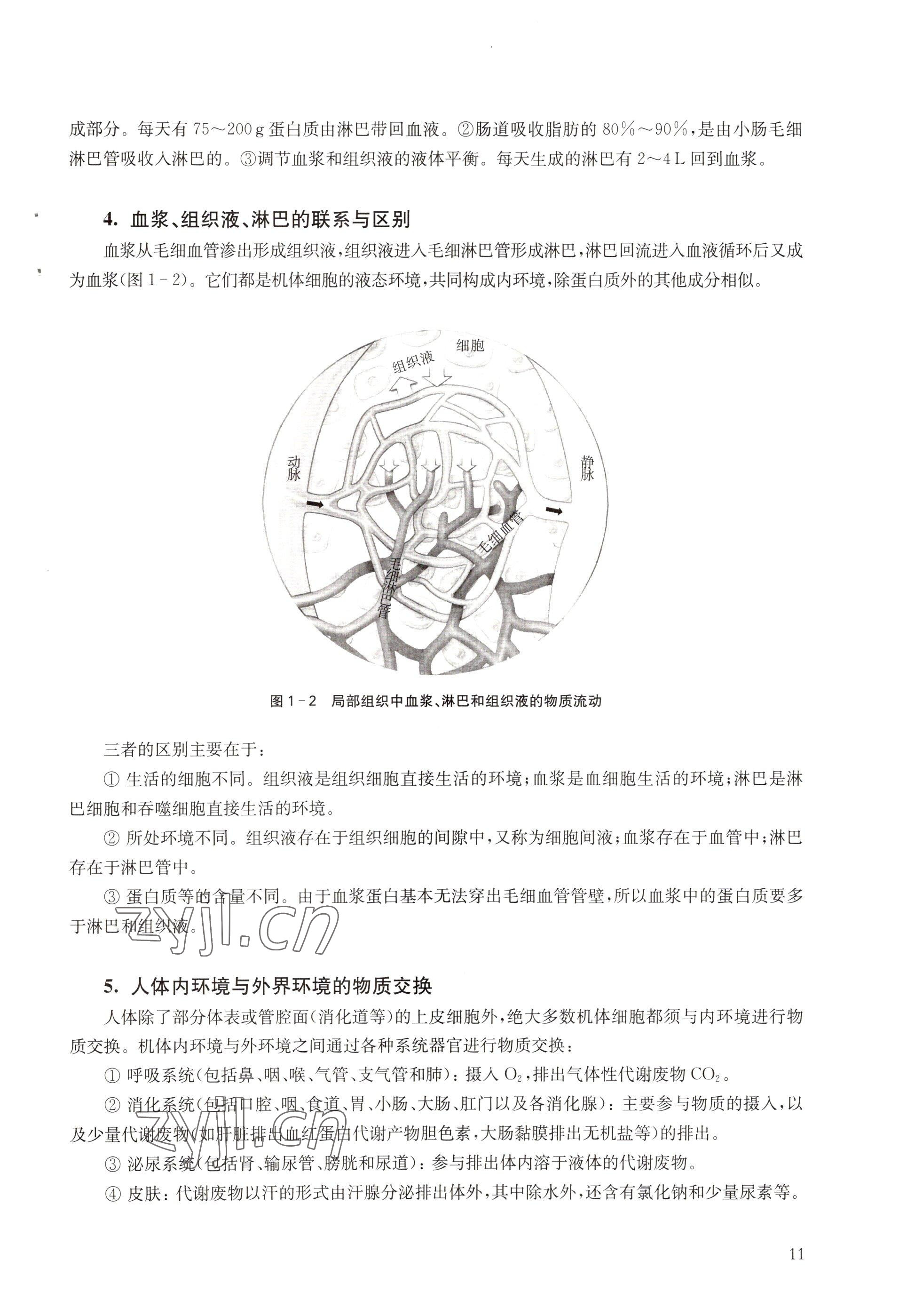 2022年教材課本高中生物選擇性必修1滬教版 參考答案第11頁