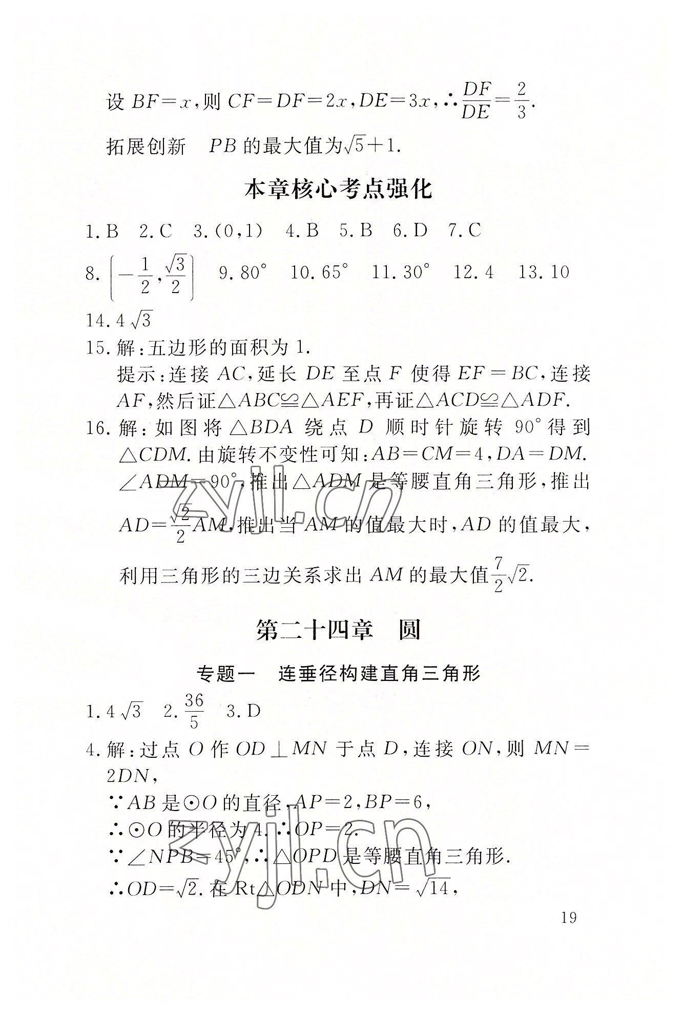 2022年名校导练九年级数学上册人教版 参考答案第46页