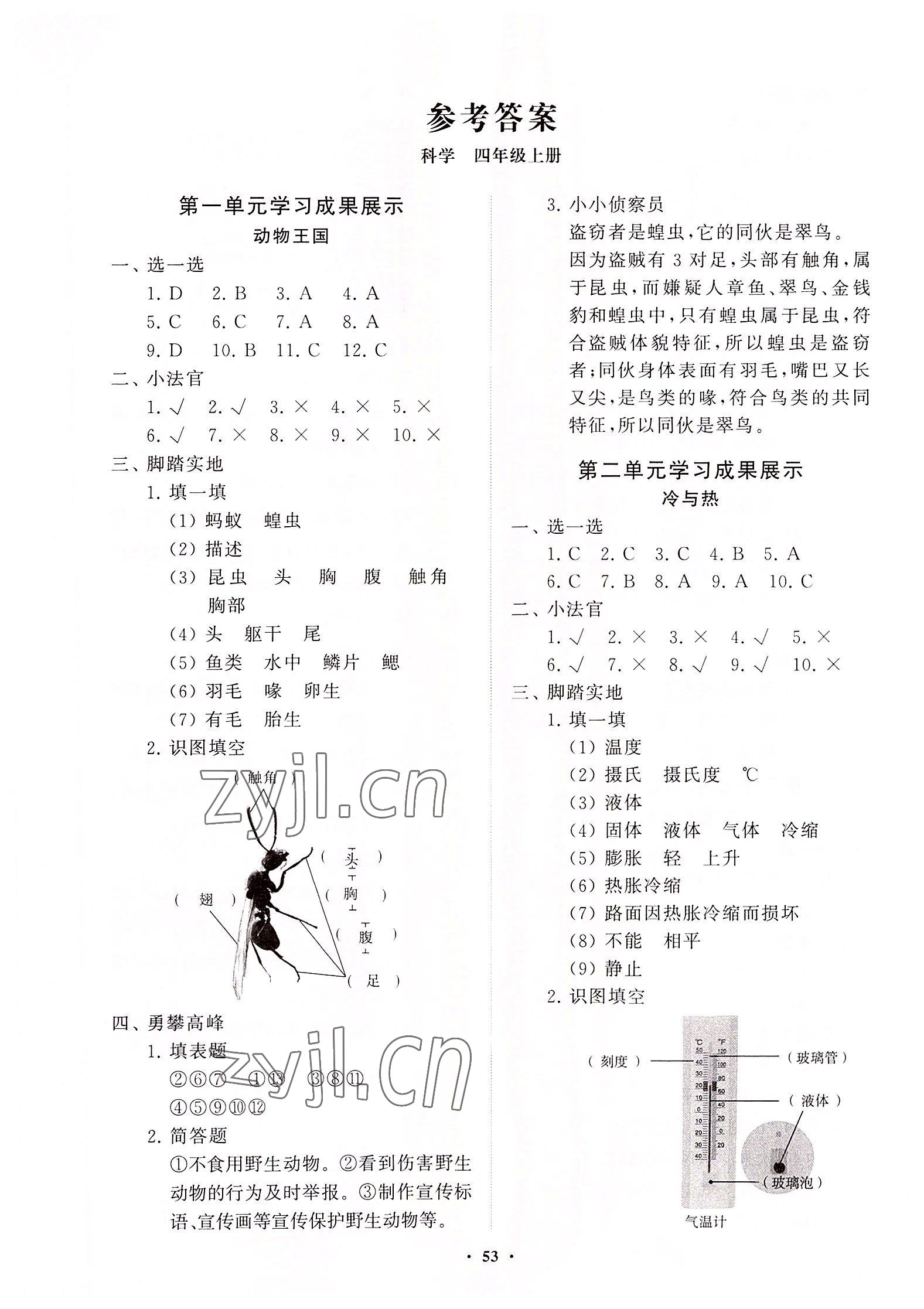 2022年同步練習(xí)冊分層指導(dǎo)四年級科學(xué)上冊青島版 第1頁