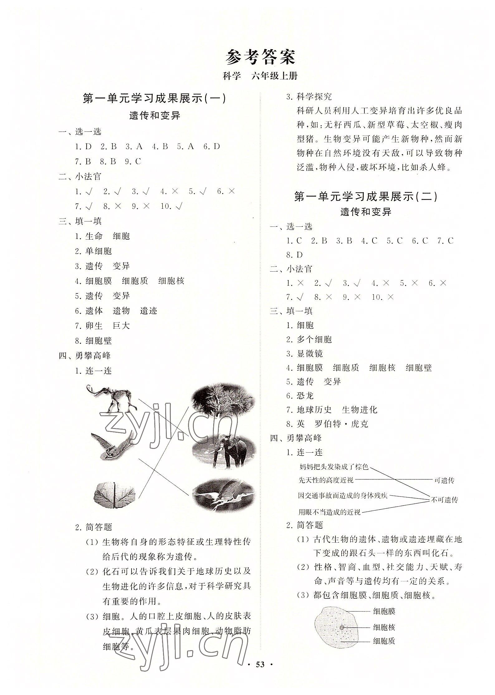 2022年同步练习册分层指导六年级科学上册青岛版 第1页