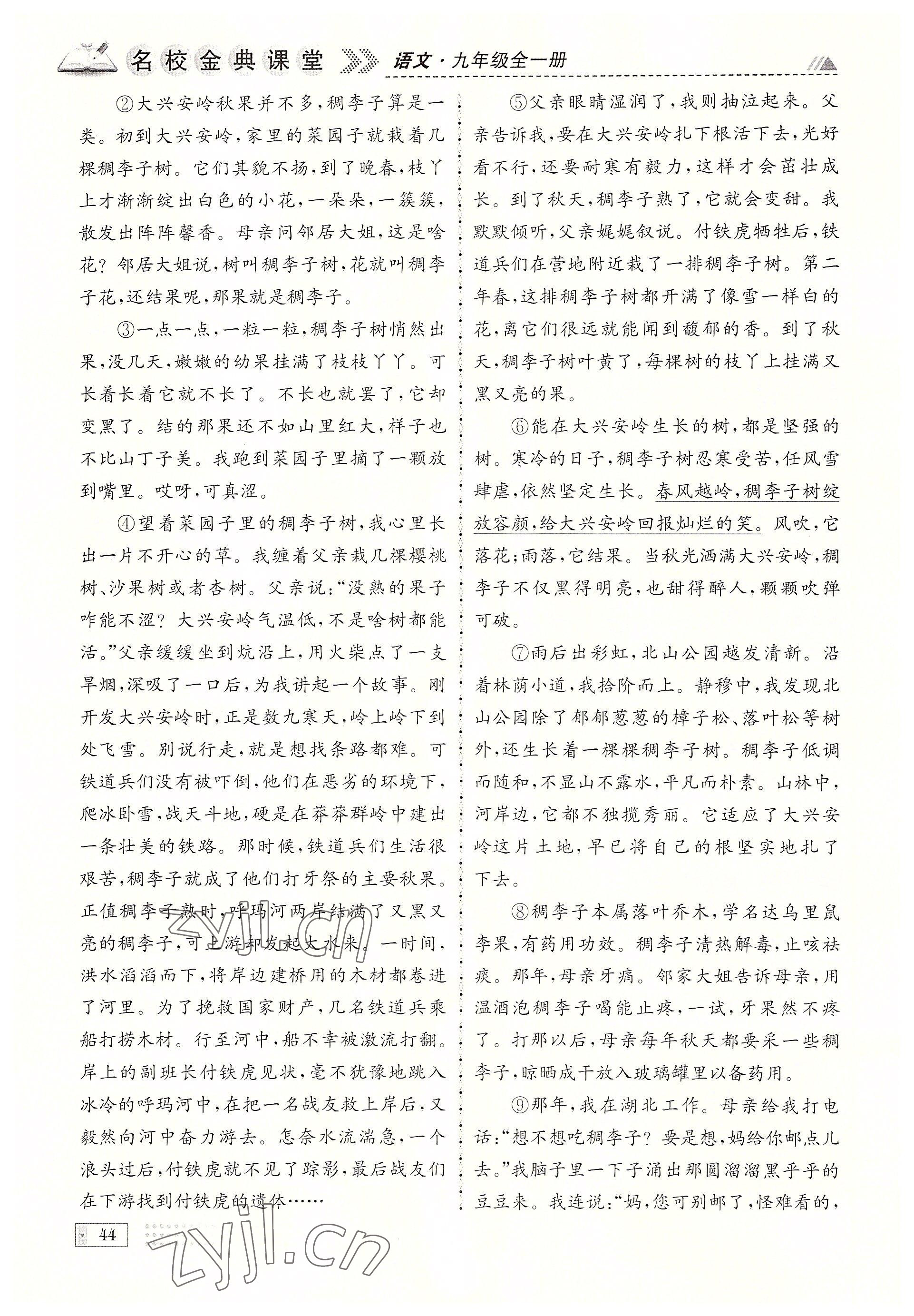 2022年名校金典課堂九年級(jí)語文全一冊(cè)人教版成都專版 參考答案第44頁