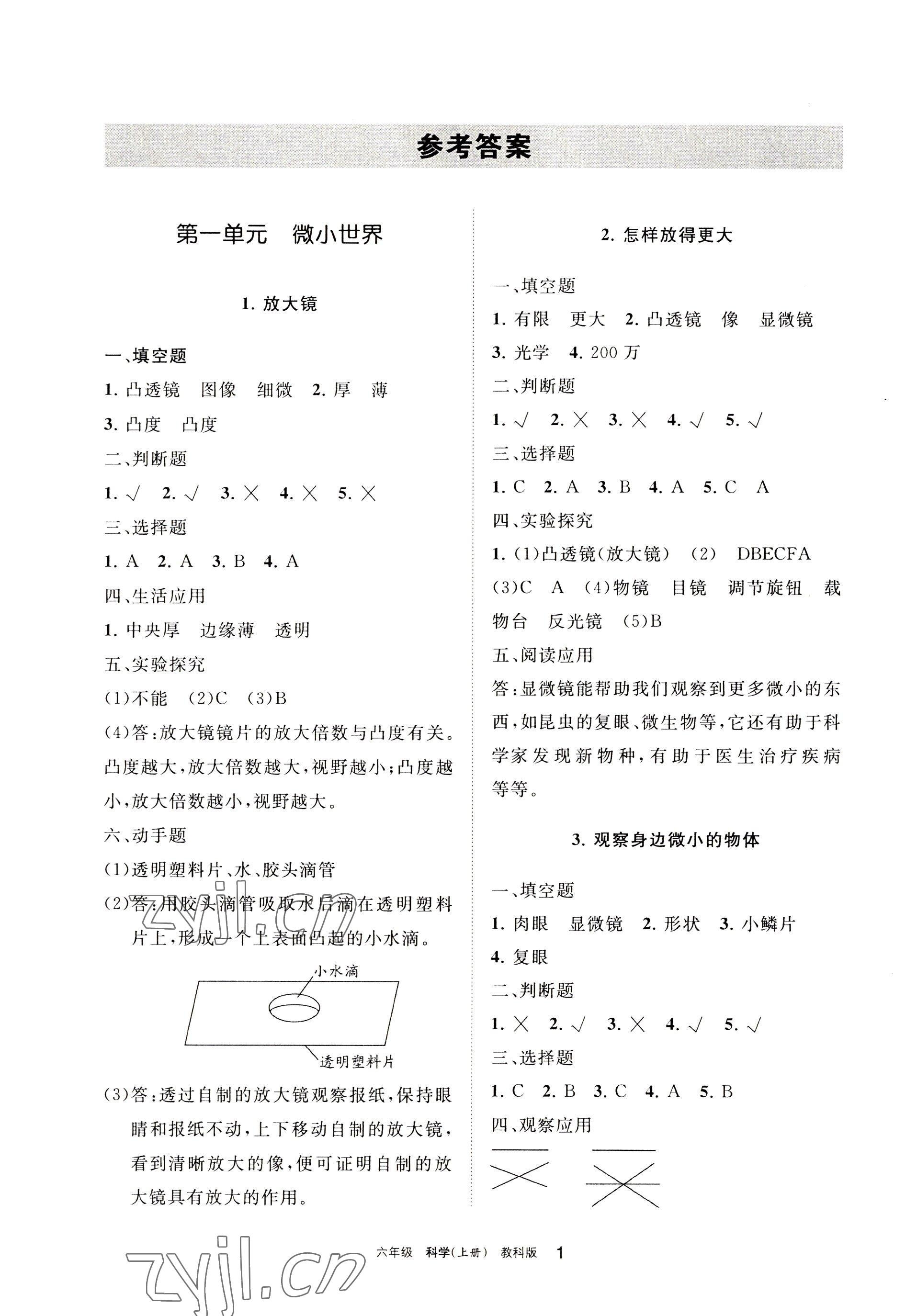 2022年學習之友六年級科學上冊教科版 參考答案第1頁