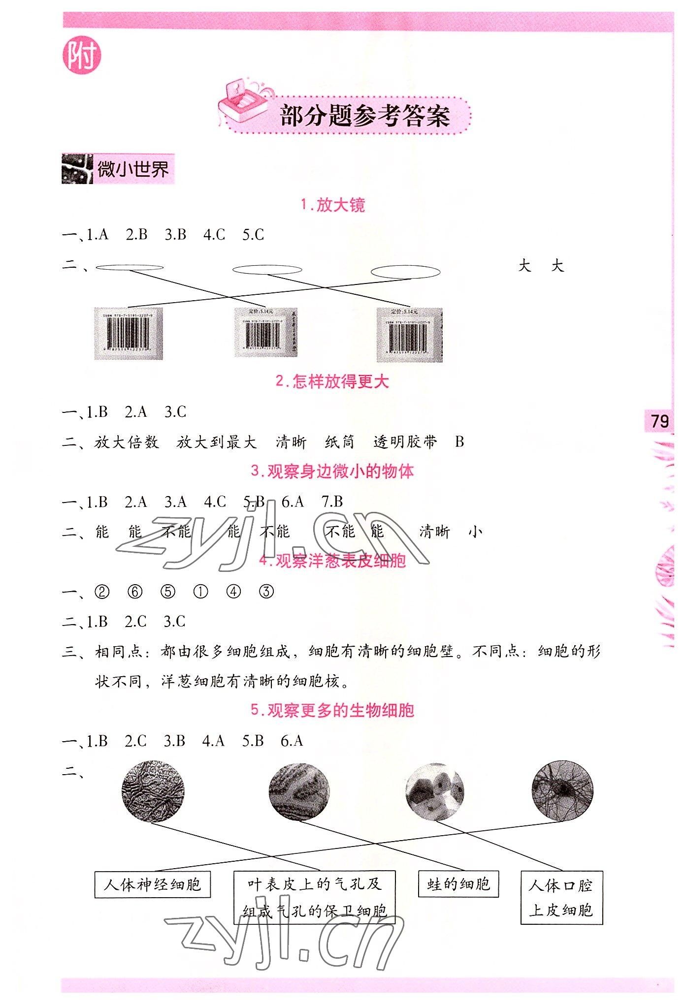 2022年學(xué)習(xí)與鞏固六年級(jí)科學(xué)上冊(cè)教科版 第1頁(yè)