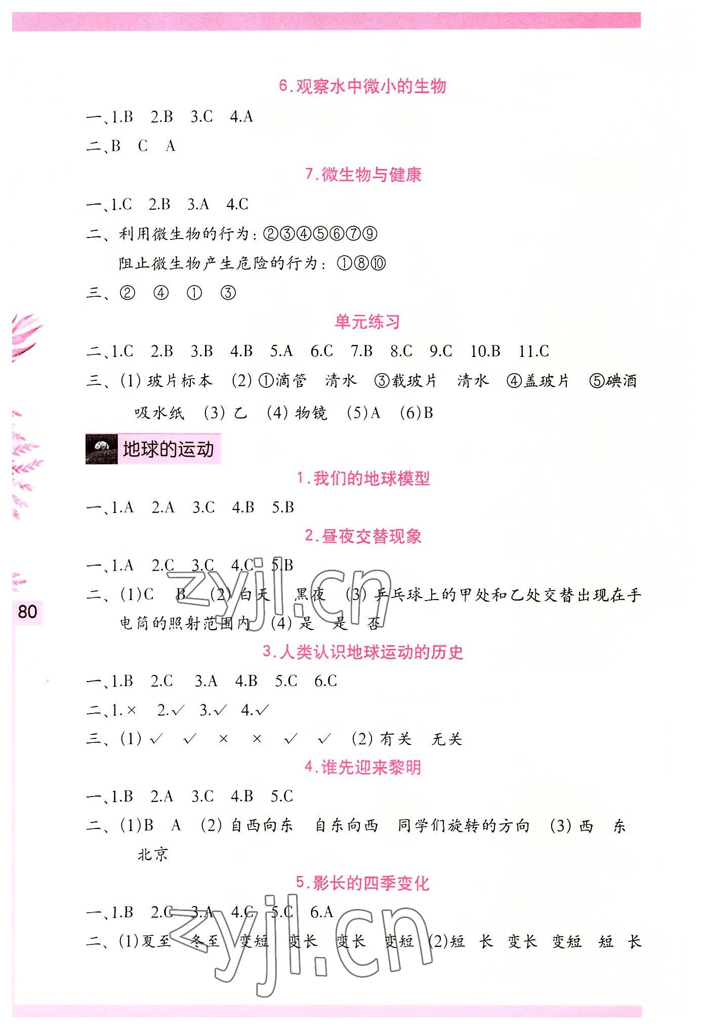 2022年學(xué)習(xí)與鞏固六年級(jí)科學(xué)上冊教科版 第2頁