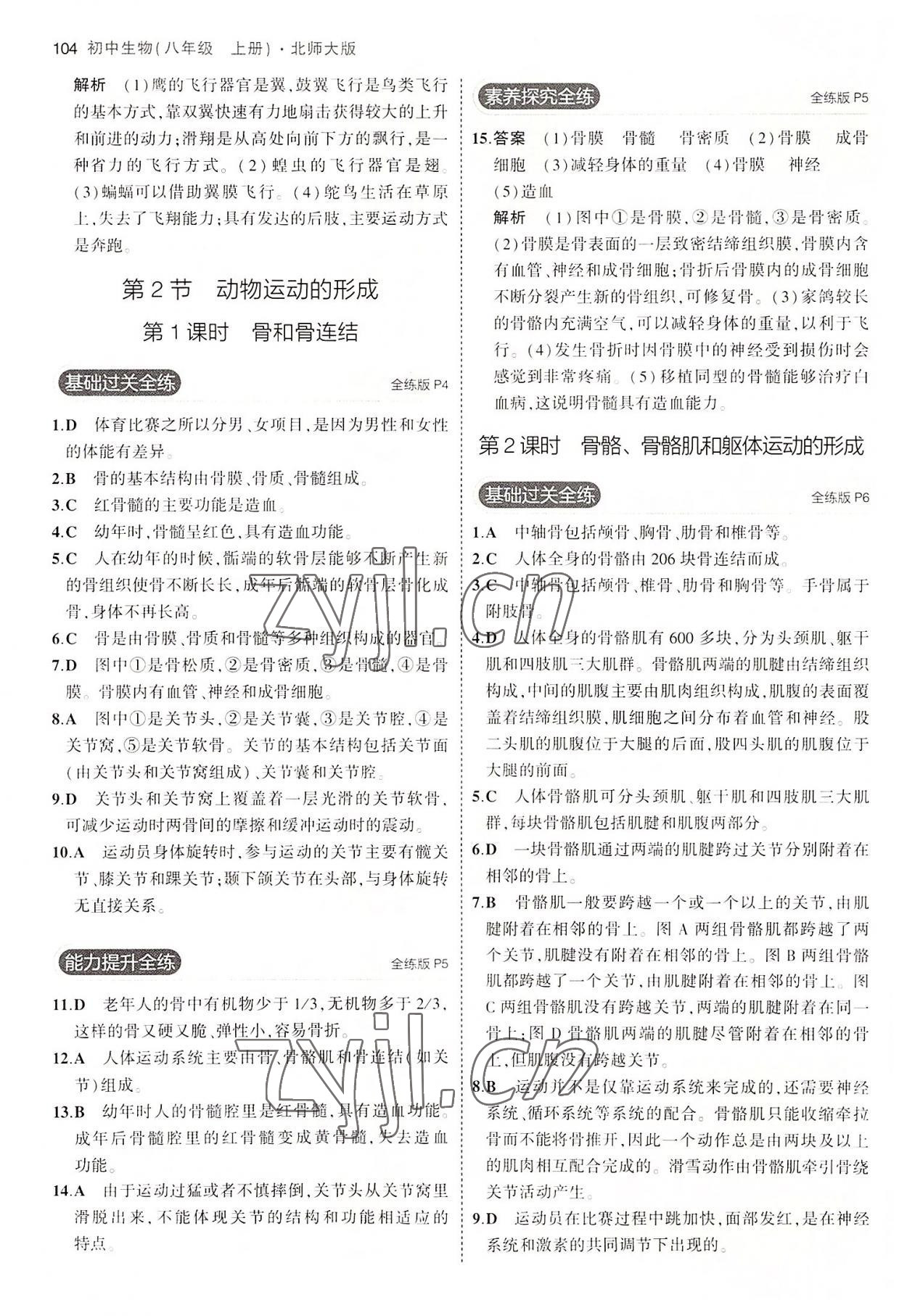 2022年5年中考3年模拟八年级生物上册北师大版 第2页