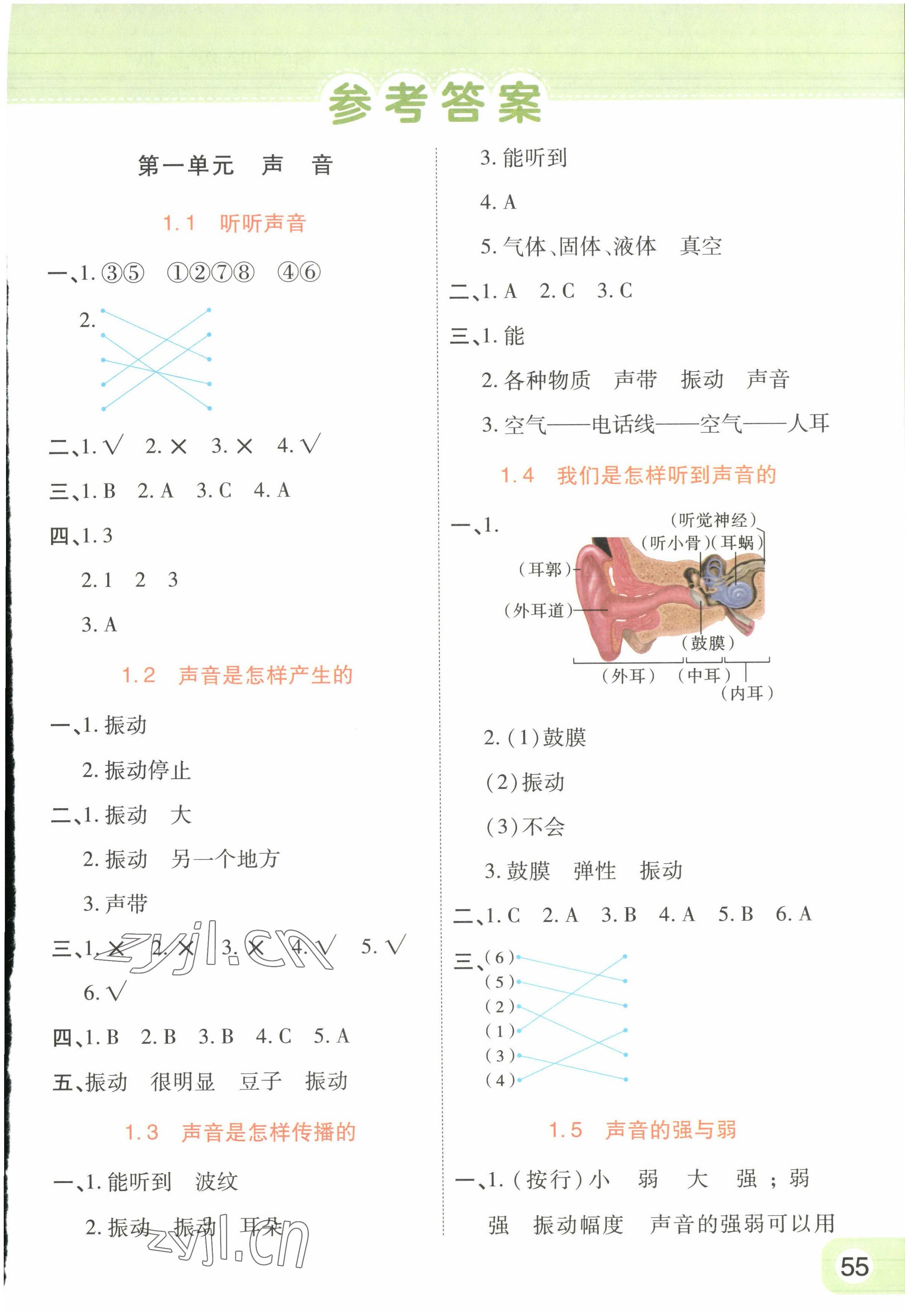 2022年黃岡同步練一日一練四年級(jí)科學(xué)上冊(cè)教科版 參考答案第1頁