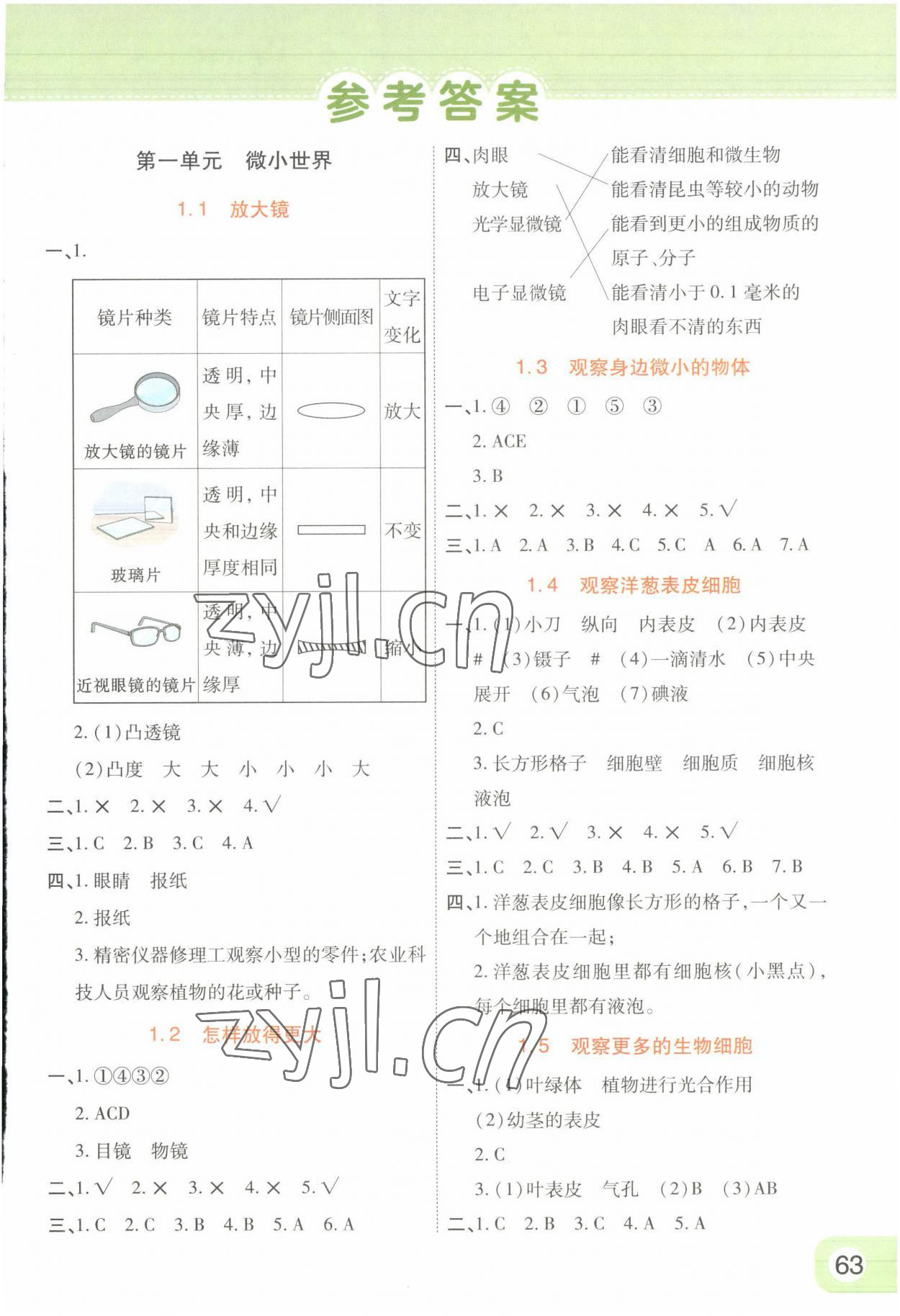 2022年黃岡同步練一日一練六年級科學上冊教科版 參考答案第1頁