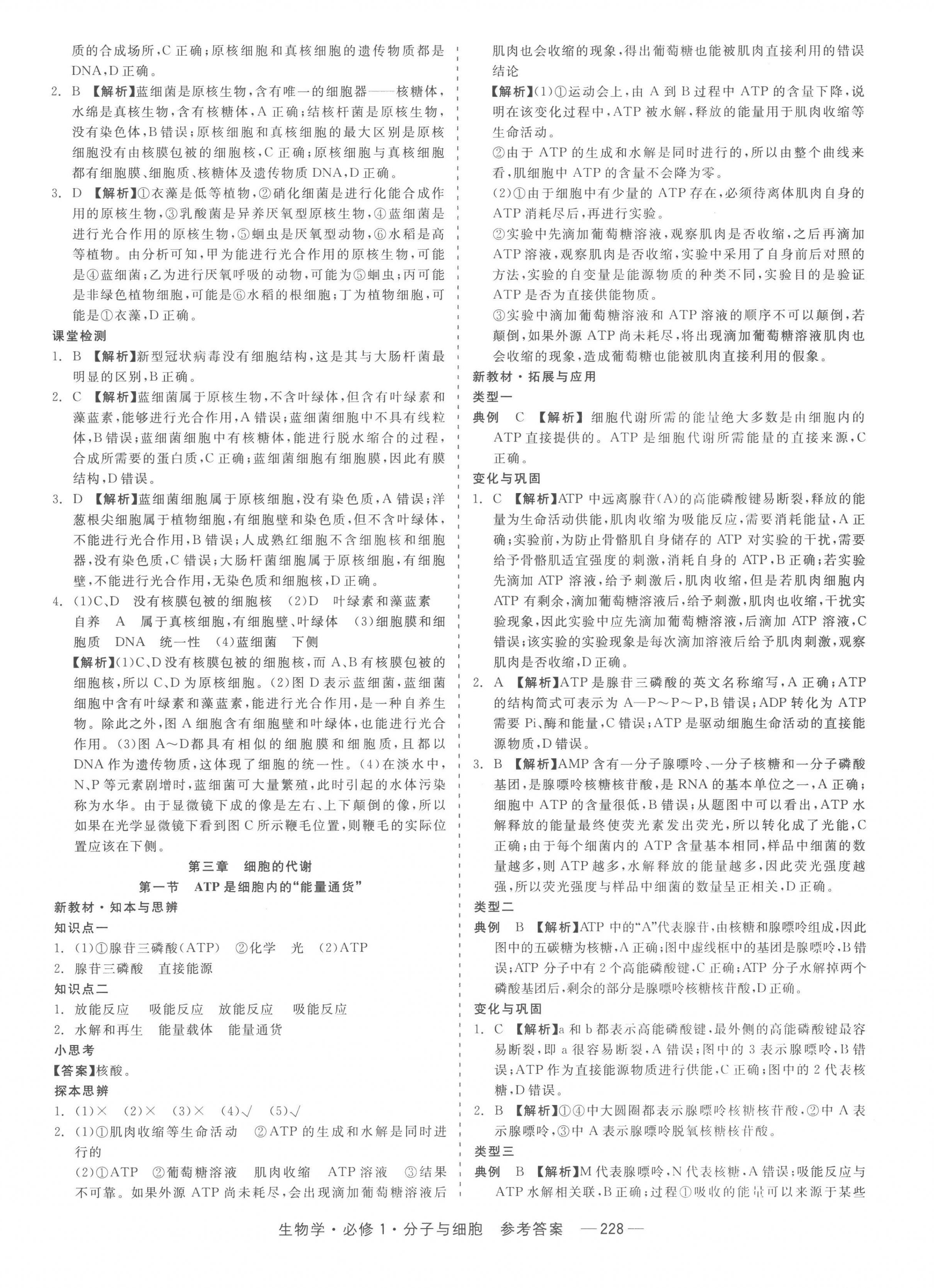 2022年精彩三年高中必修生物1人教版浙江專版 第14頁