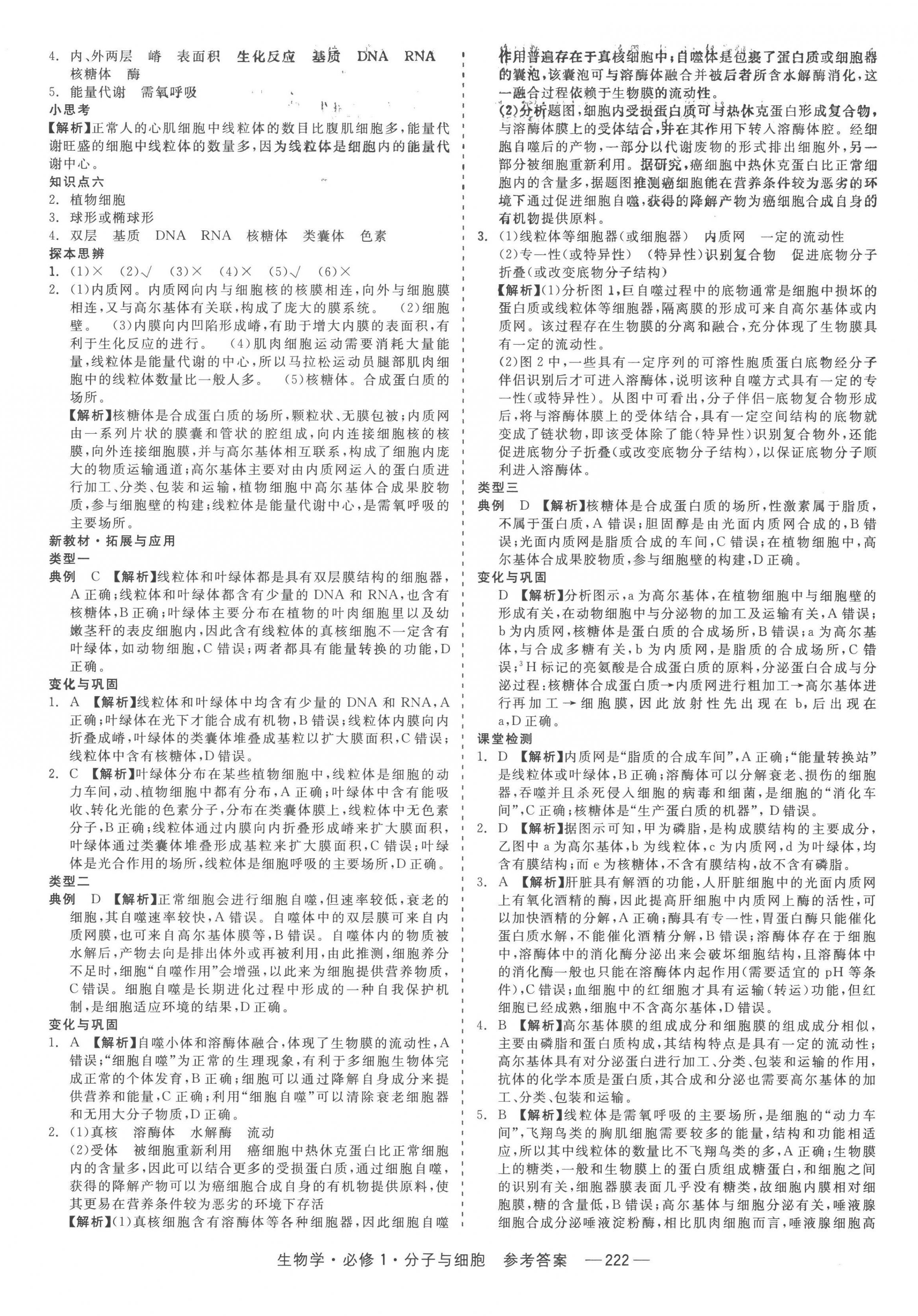 2022年精彩三年高中必修生物1人教版浙江專版 第8頁