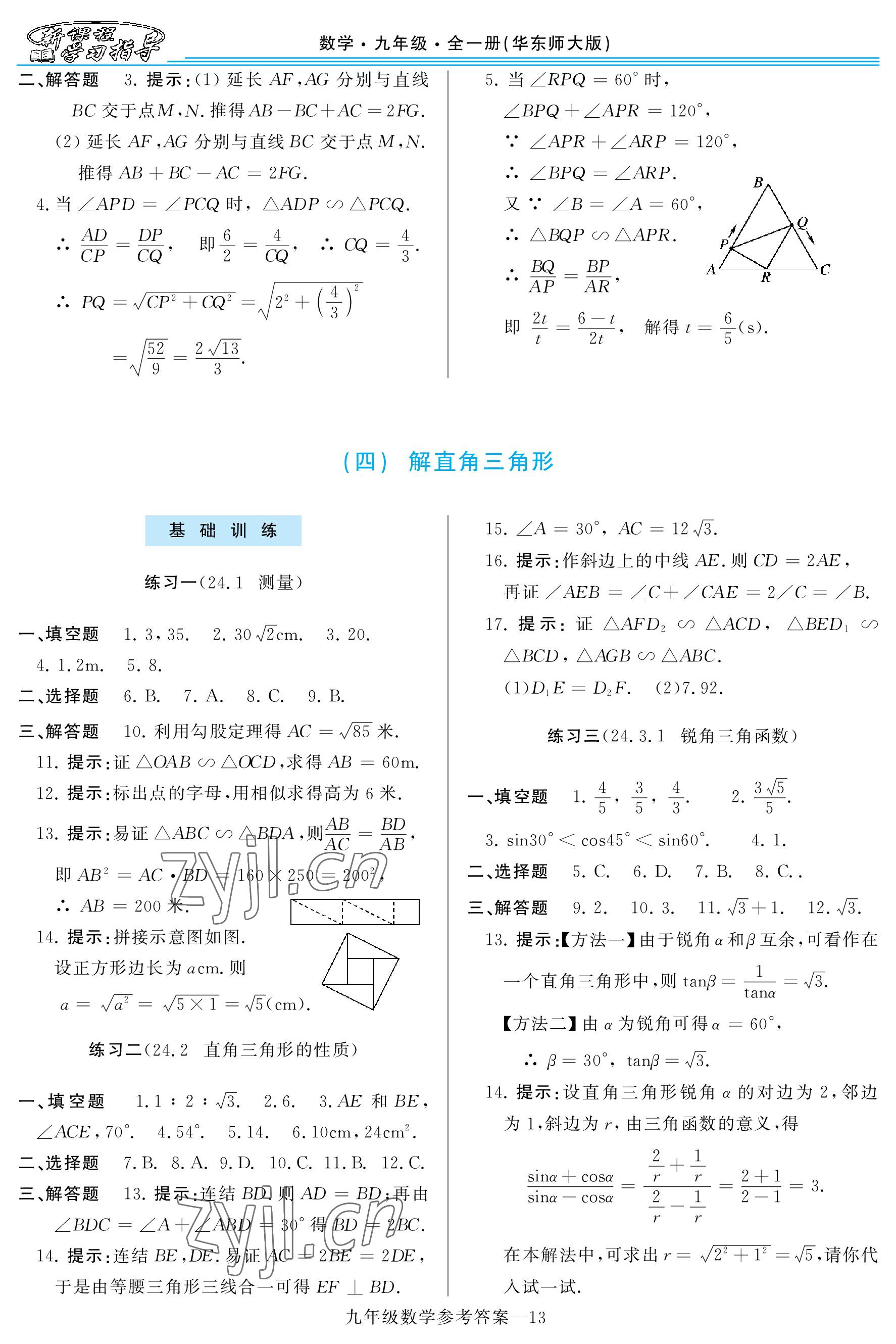 2022年新課程學習指導九年級數(shù)學全一冊華師大版 參考答案第13頁