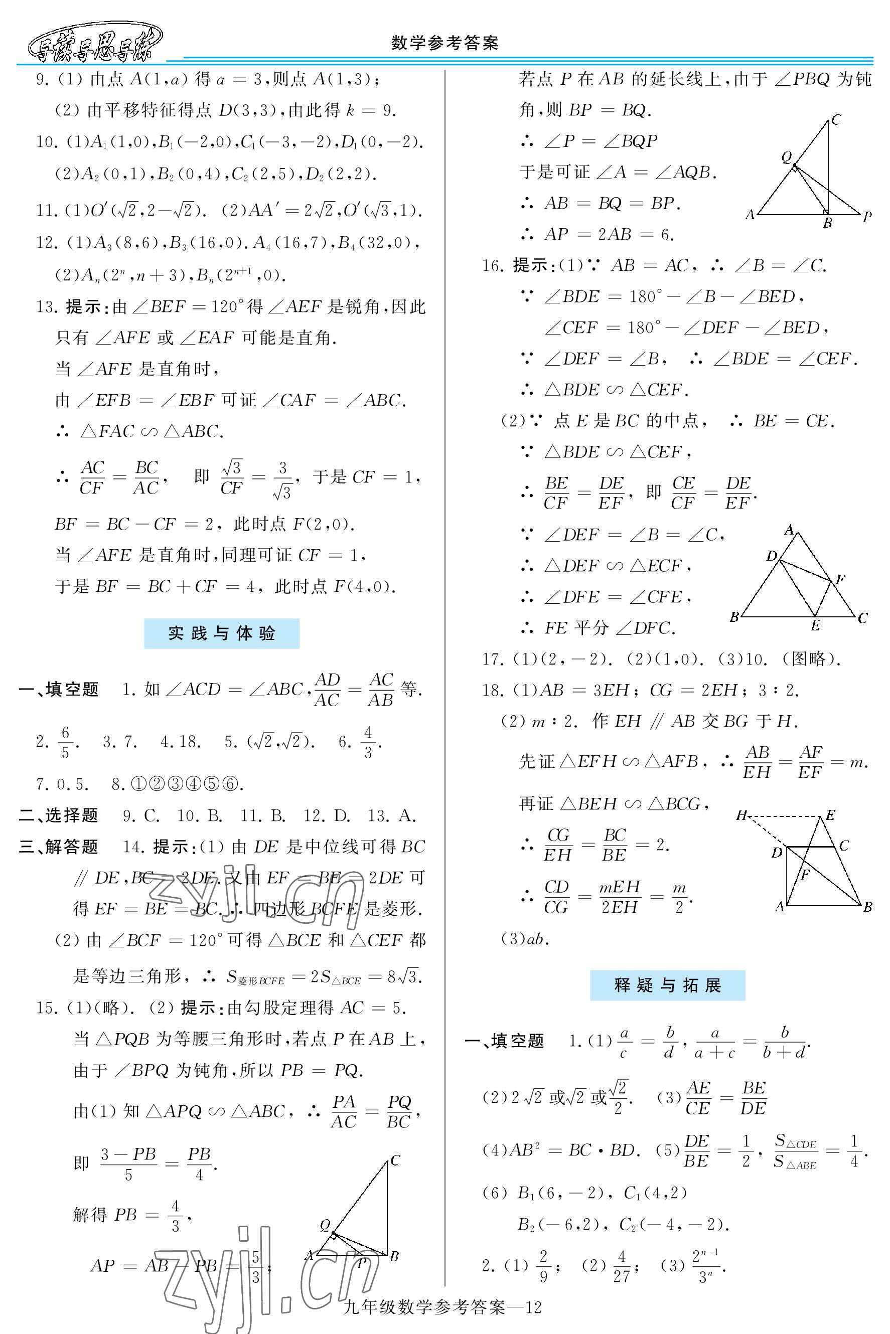 2022年新課程學習指導九年級數(shù)學全一冊華師大版 參考答案第12頁