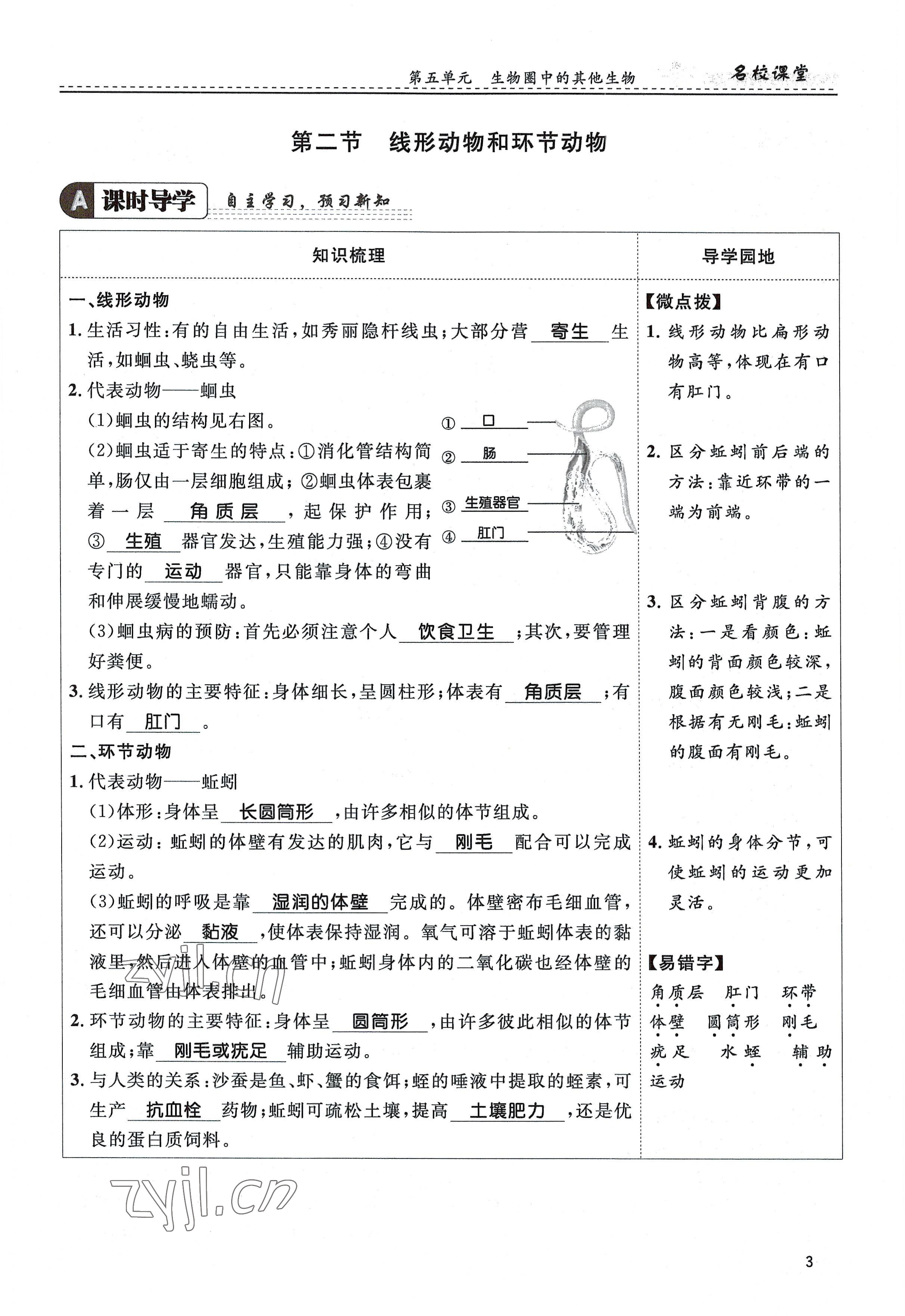 2022年名校課堂貴州人民出版社八年級生物上冊人教版 參考答案第3頁