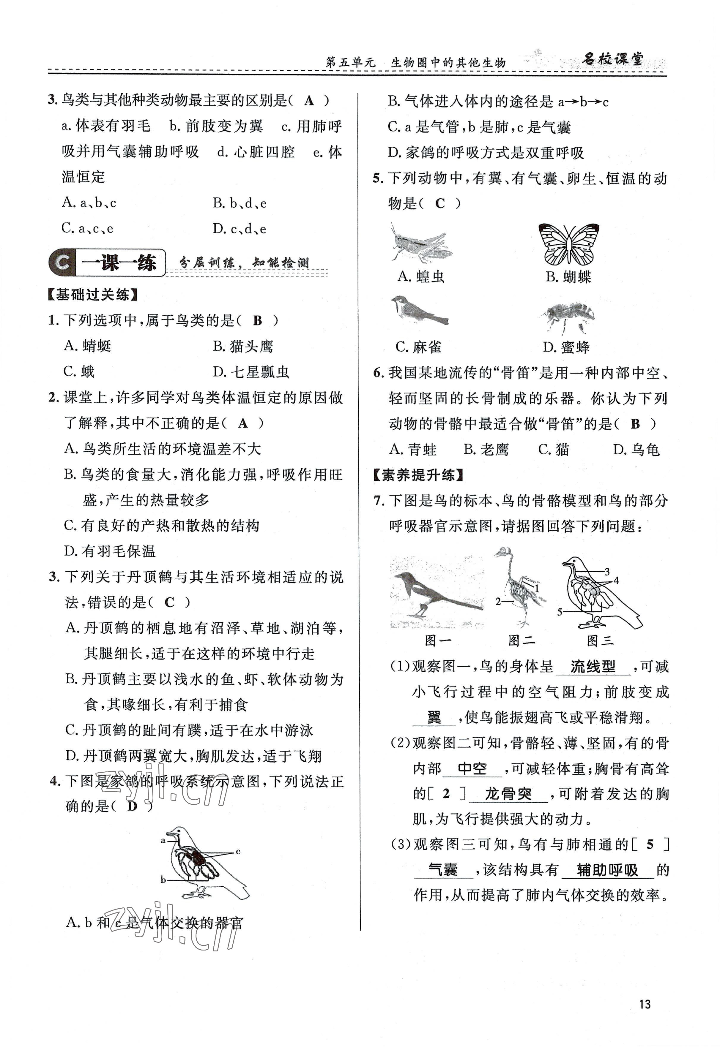 2022年名校課堂貴州人民出版社八年級生物上冊人教版 參考答案第13頁