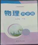 2023年同步練教育科學(xué)出版社九年級物理下冊教科版