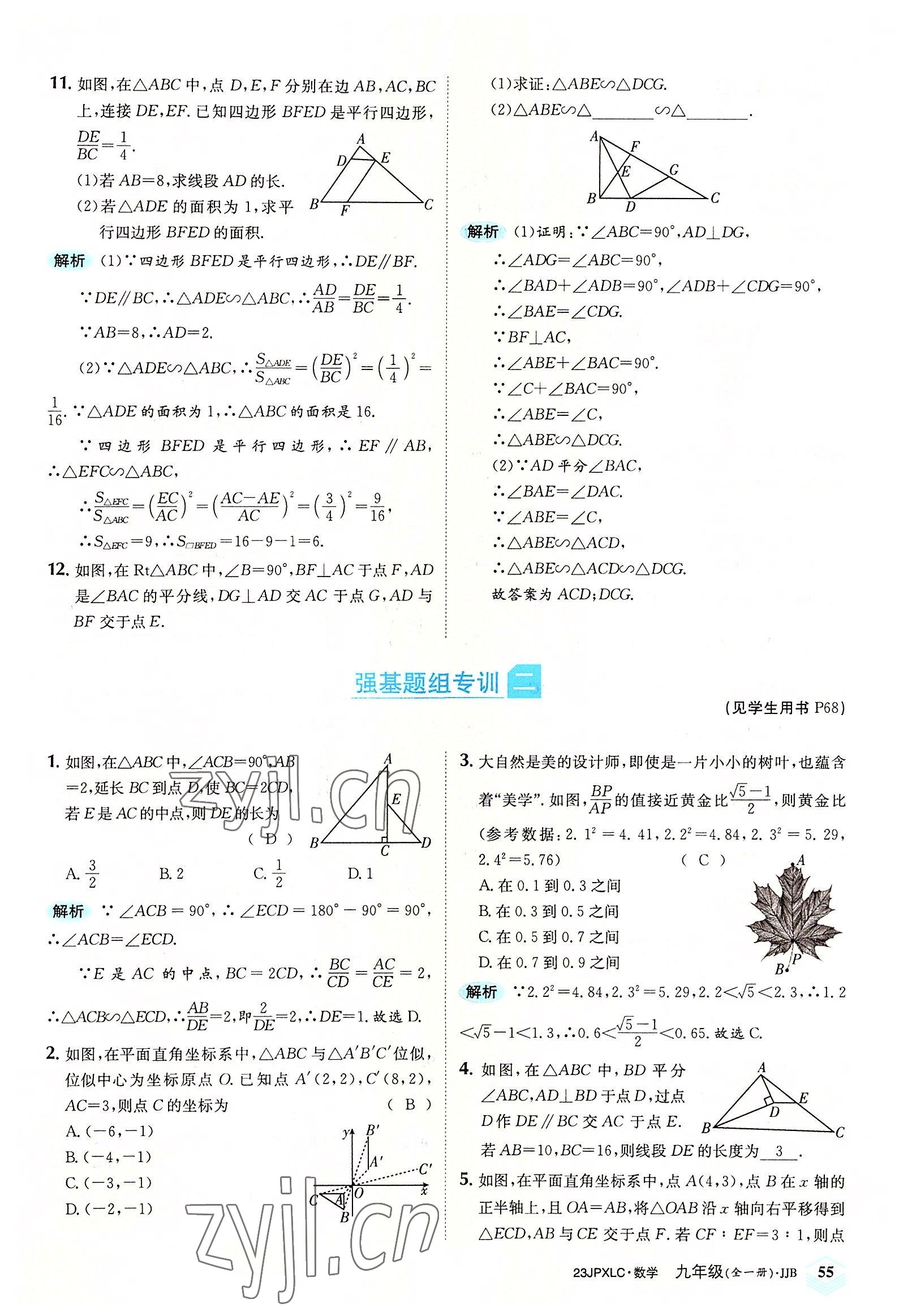 2022年金牌學練測九年級數學全一冊冀教版 參考答案第55頁