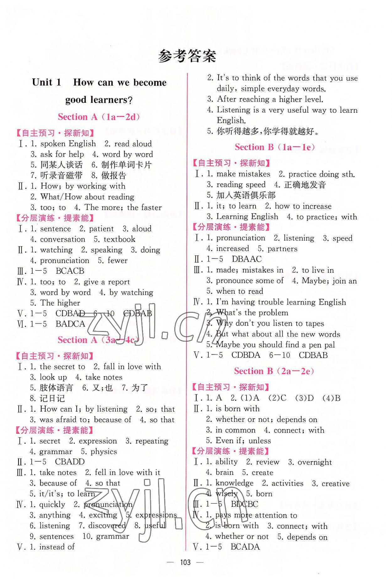 2022年同步導(dǎo)學(xué)案課時(shí)練九年級(jí)英語全一冊(cè)人教版河南專版 第1頁