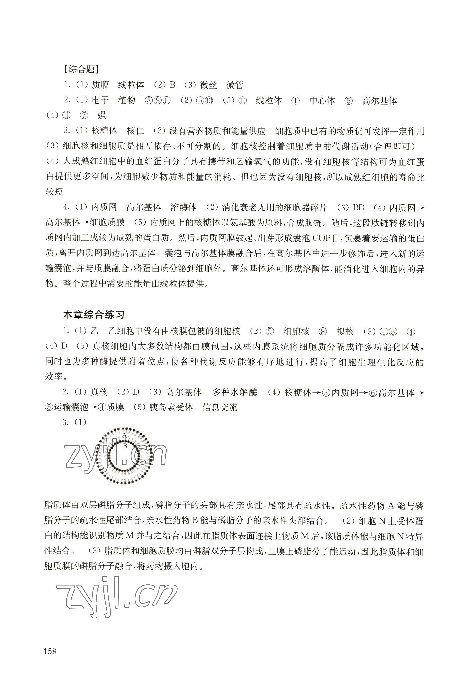 2022年練習部分高中生物必修1滬科版 參考答案第4頁