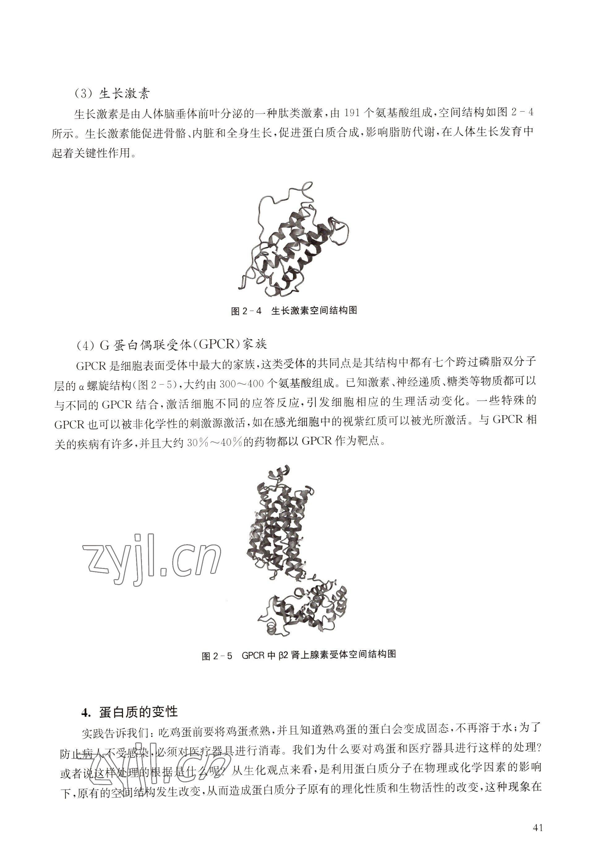 2022年教材課本高中生物必修1分子與細(xì)胞滬教版 參考答案第33頁