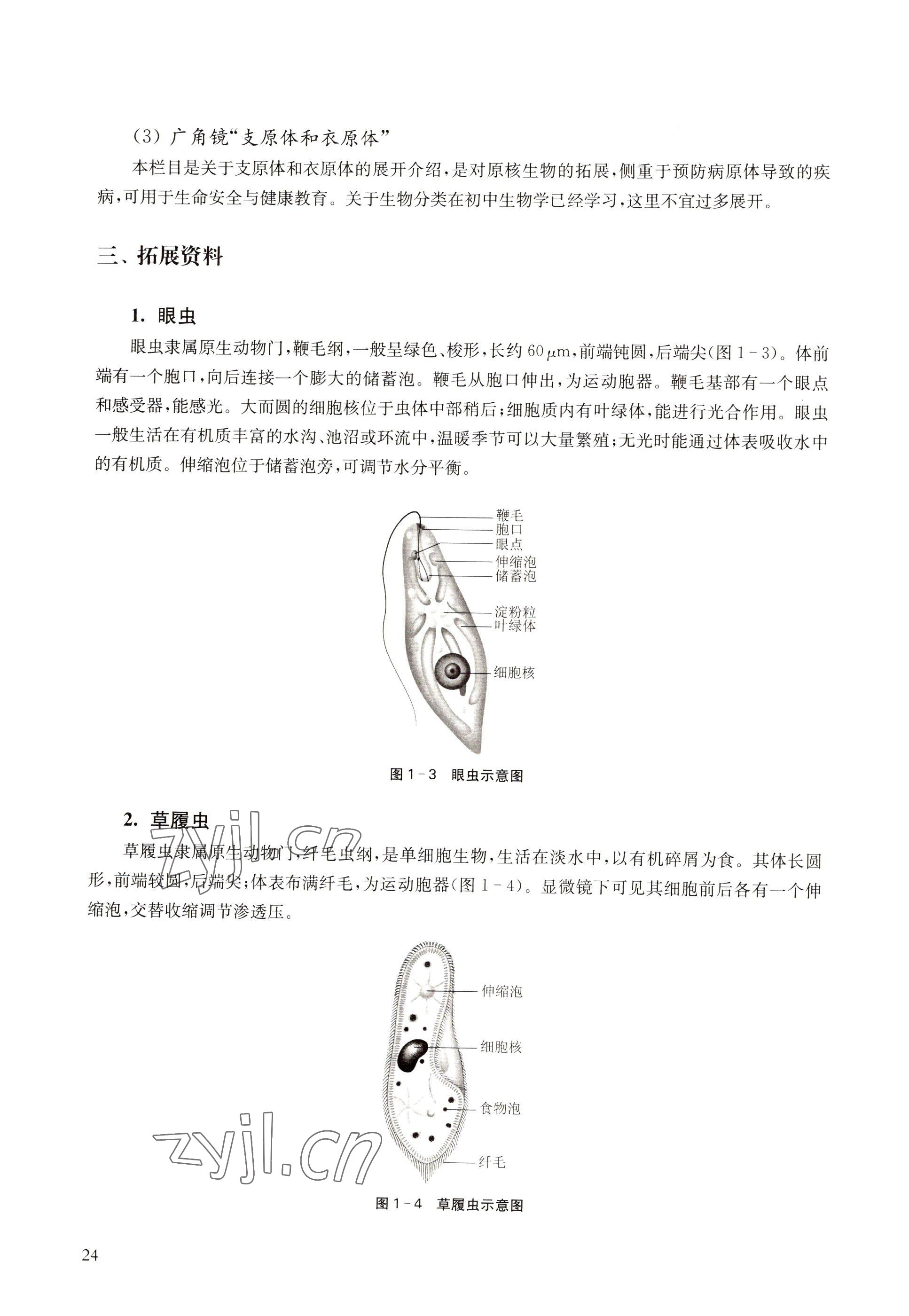 2022年教材課本高中生物必修1分子與細胞滬教版 參考答案第16頁