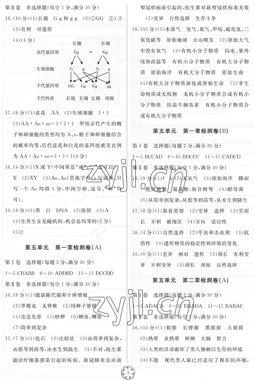 2022年同步練習(xí)冊分層檢測卷八年級生物上冊濟(jì)南版 參考答案第3頁