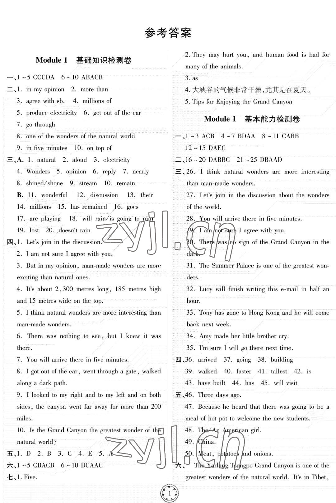 2022年同步練習(xí)冊分層檢測卷九年級英語上冊外研版 參考答案第1頁